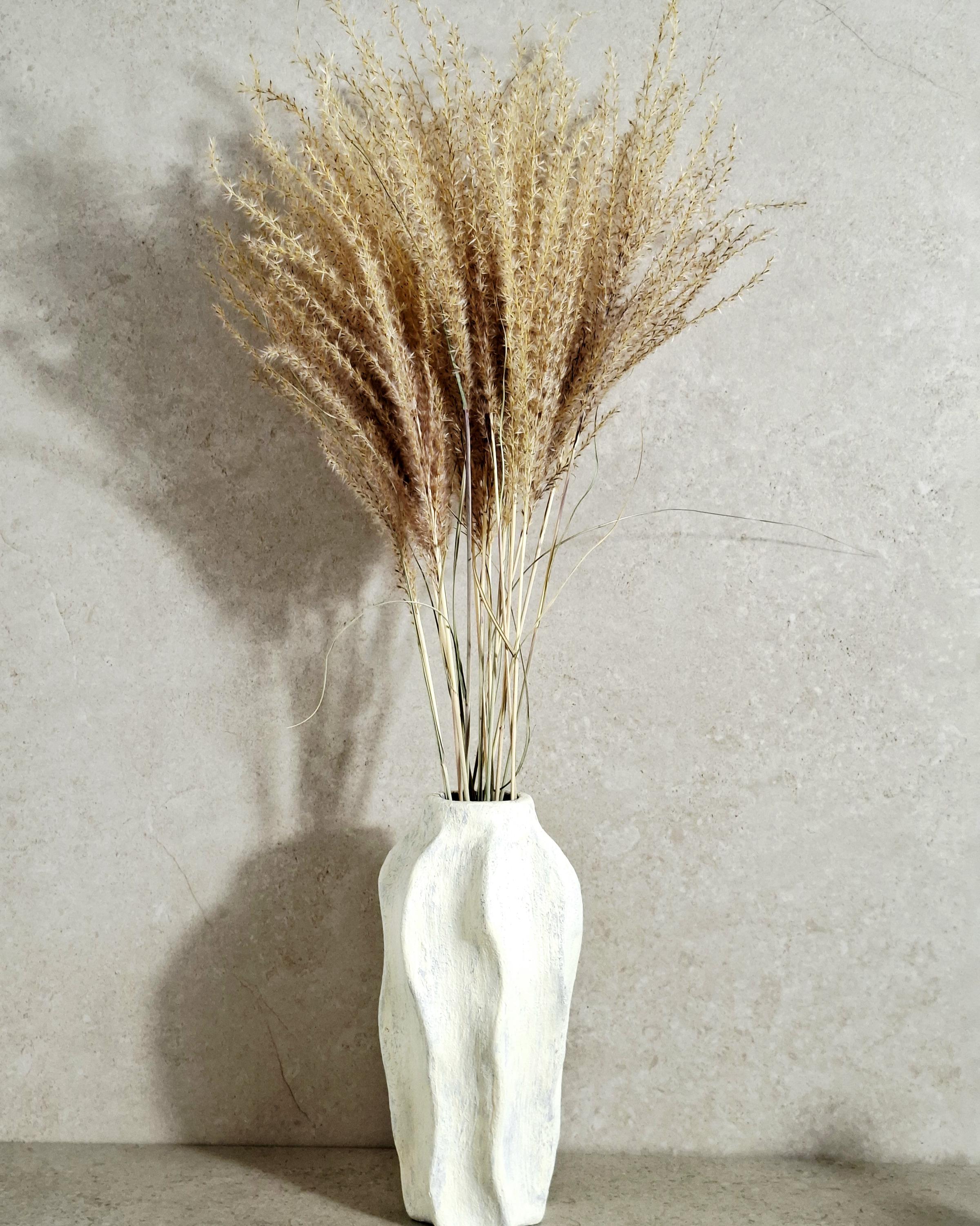 Dried Miscanthus 60 cm | Natural Beige Pampas Style Grass | Boho Home Decor | Florist Material | Wedding Arrangement