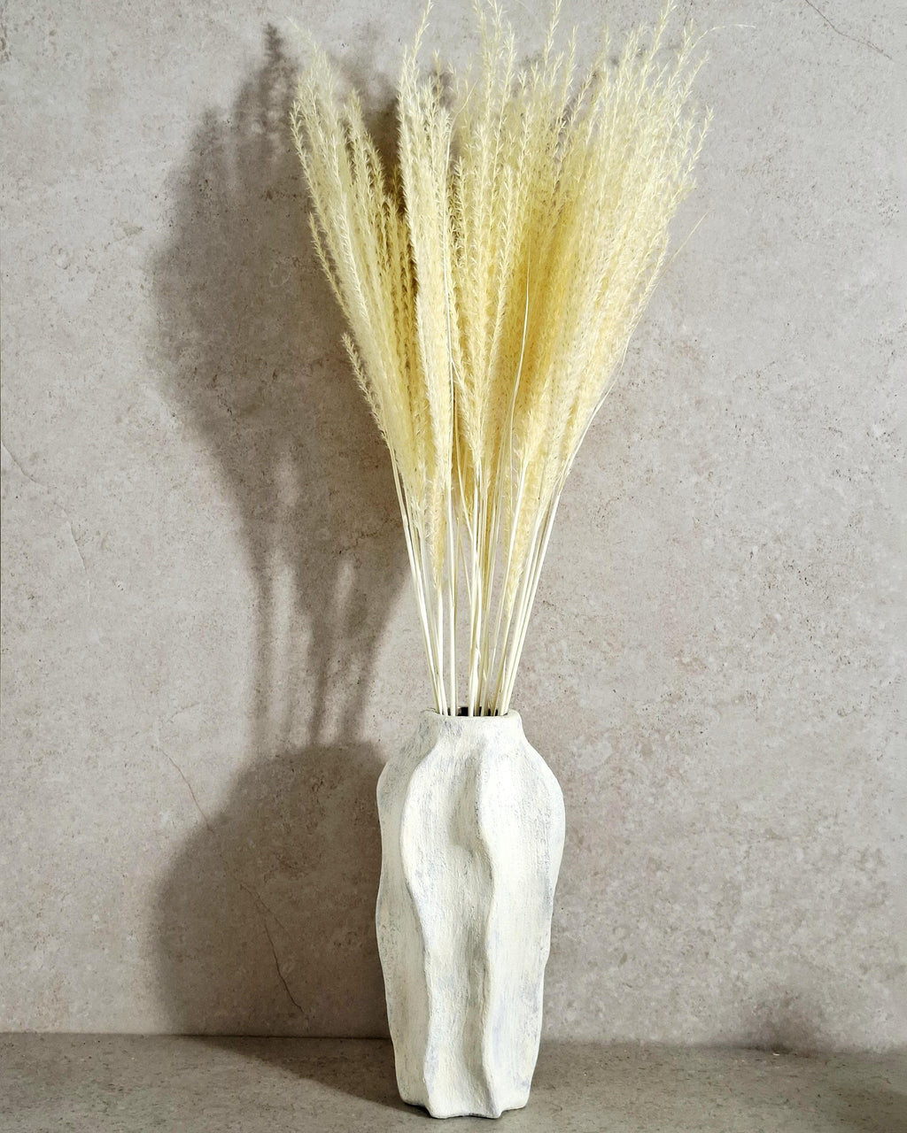 Dried Miscanthus Grass Stems 60 cm | Warm Cream Beige Pampas Style | Fluffy Dried Grass | Boho Decor | Natural Dried Flowers