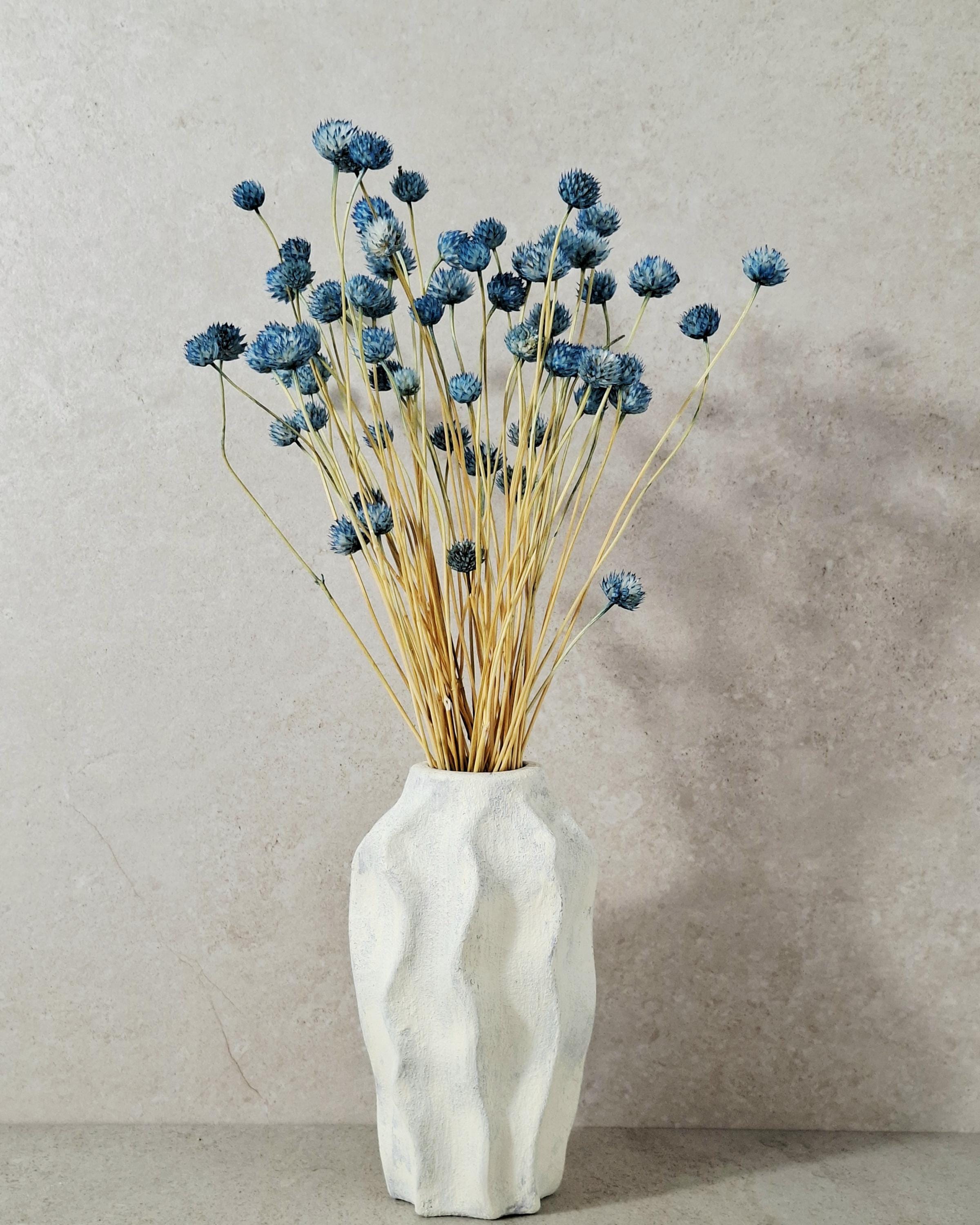 Blue Dried Cephalaria Stems, Preserved Blue Flowers, Florist Supplies, Wedding Floral Decor, Dried Bouquet Filler