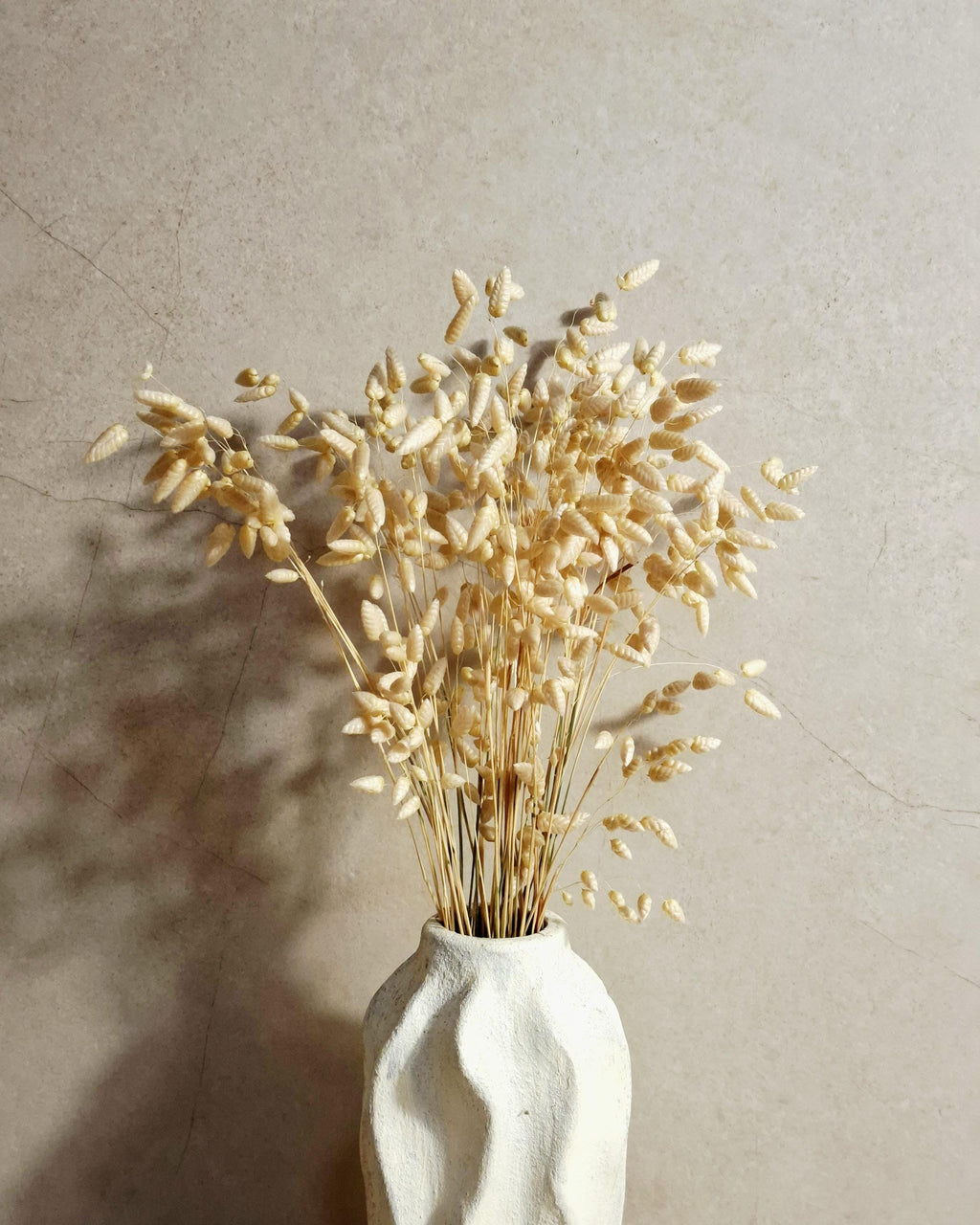 Dried Briza Wheat Color | Natural Dried Grass | Neutral Home Decor | Boho Floral Stems | Minimal Rustic Decoration.
