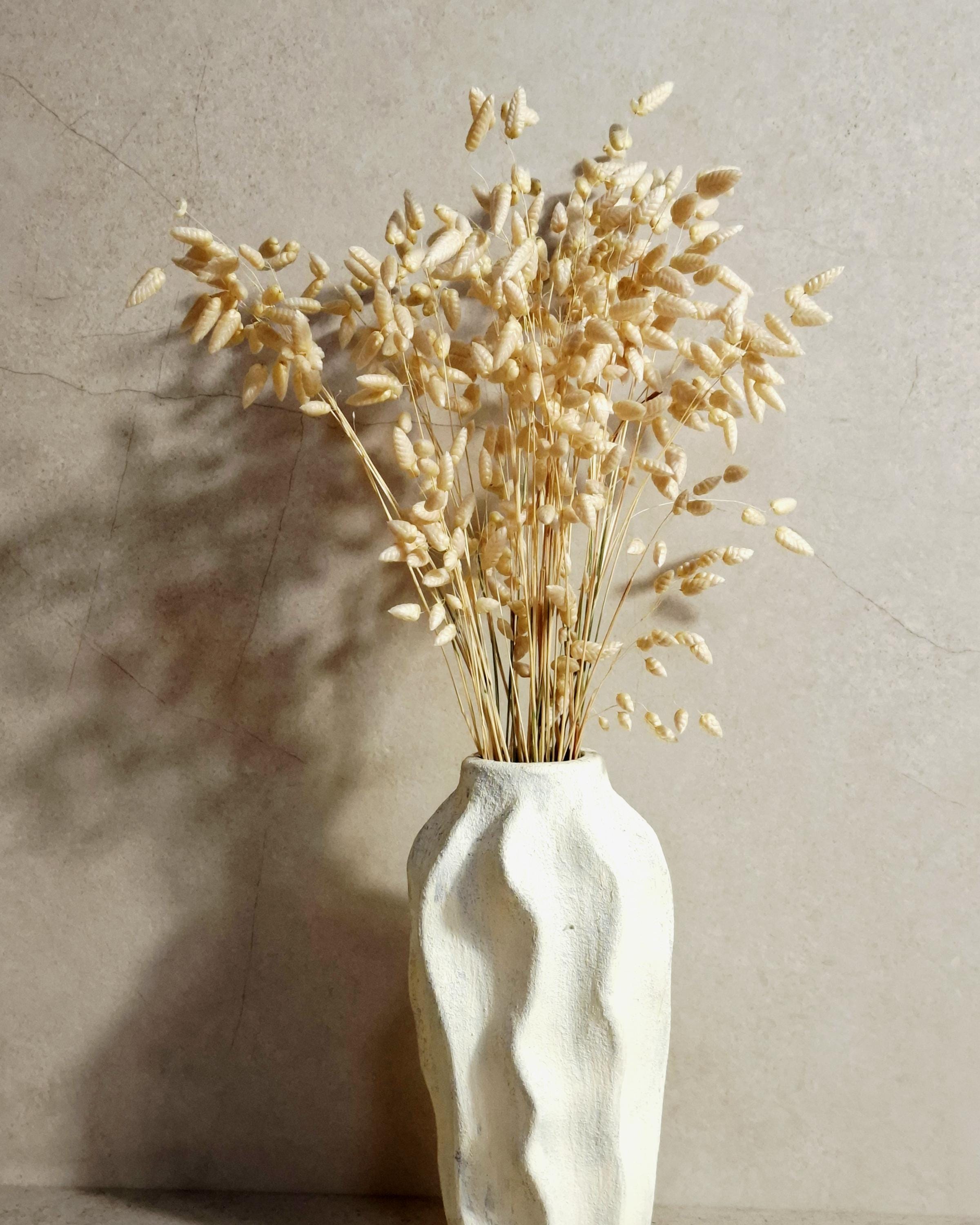 Dried Briza Wheat Color | Natural Dried Grass | Neutral Home Decor | Boho Floral Stems | Minimal Rustic Decoration.