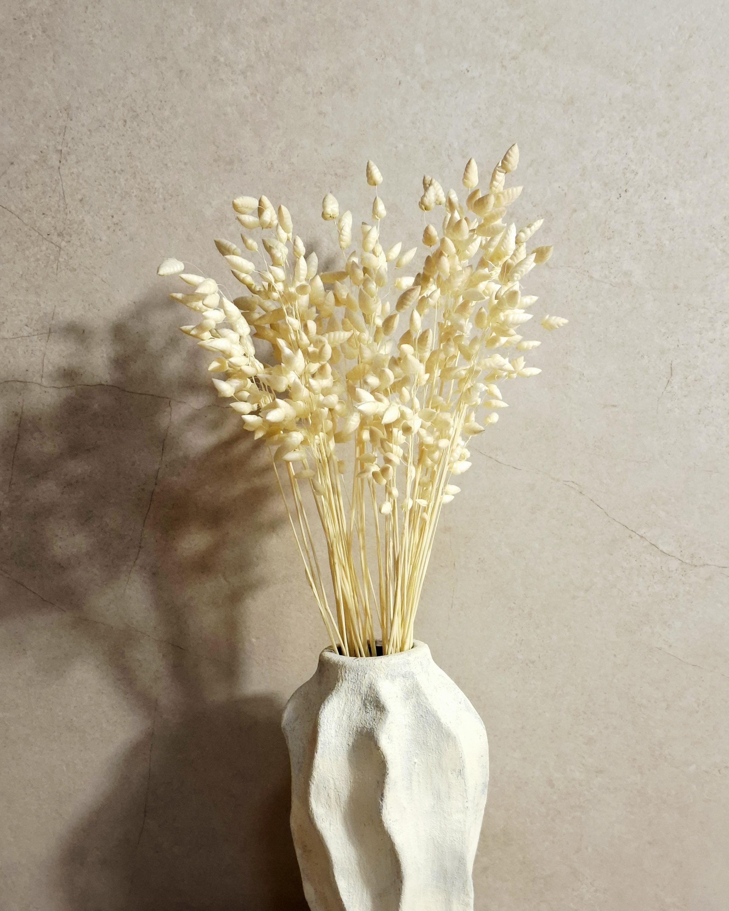 Bleached Briza Stems - Dried Grass Bouquet - Natural Dried Flowers - Florist Supplies - Wedding Decor - Boho Home Decor
