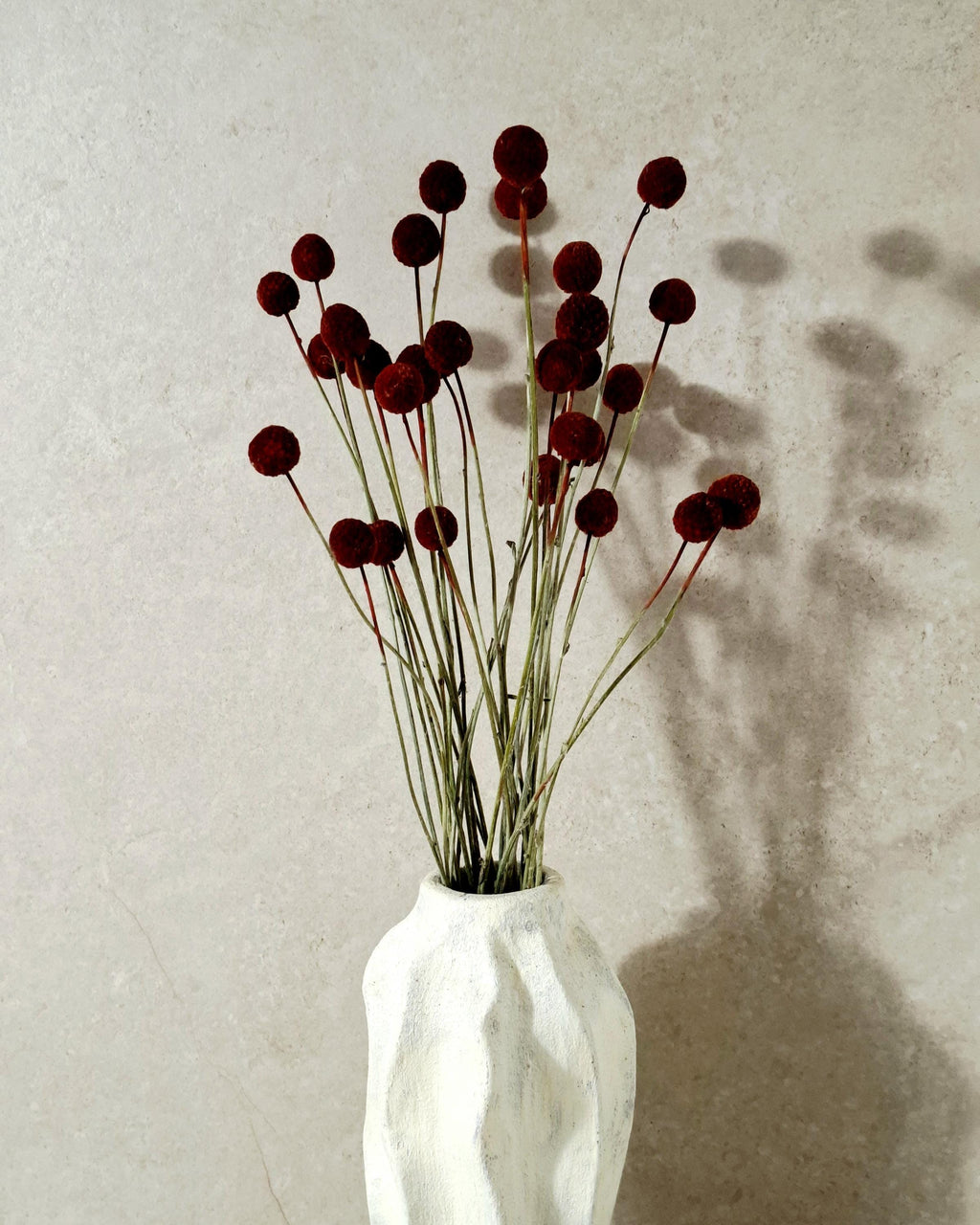 Dried Craspedia Stems Dark Red (Billy Buttons), Dyed Dried Flowers, Floristry Supply, DIY Craft, Home Decor, 15 Stems