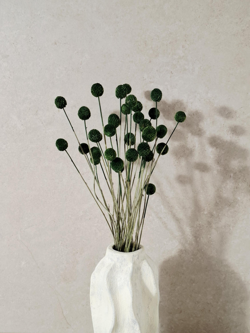 Dried Craspedia Stems Dark Green (Billy Buttons), Dyed Dried Flowers, Floristry Supply, DIY Craft, Home Decor, 15 Stems