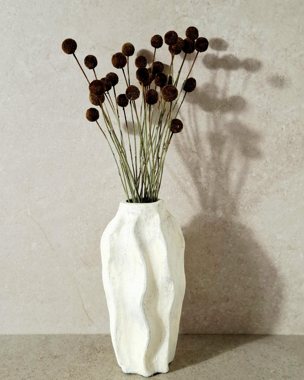 Dried Craspedia Stems Light Brown (Billy Buttons), Natural Dried Flowers, Floristry Supply, DIY, Home Decor, 15 Stems