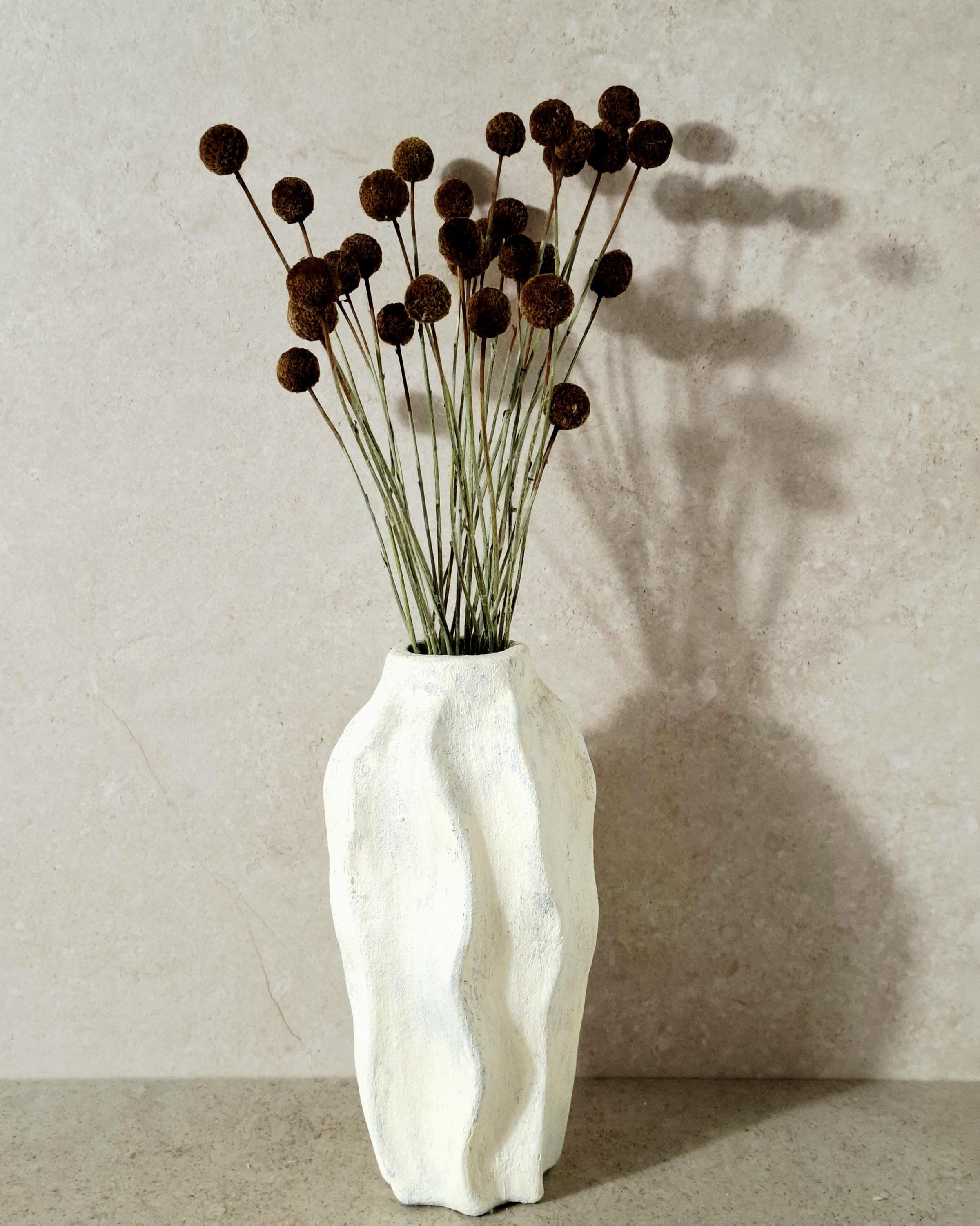 Dried Craspedia Stems Light Brown (Billy Buttons), Natural Dried Flowers, Floristry Supply, DIY, Home Decor, 15 Stems