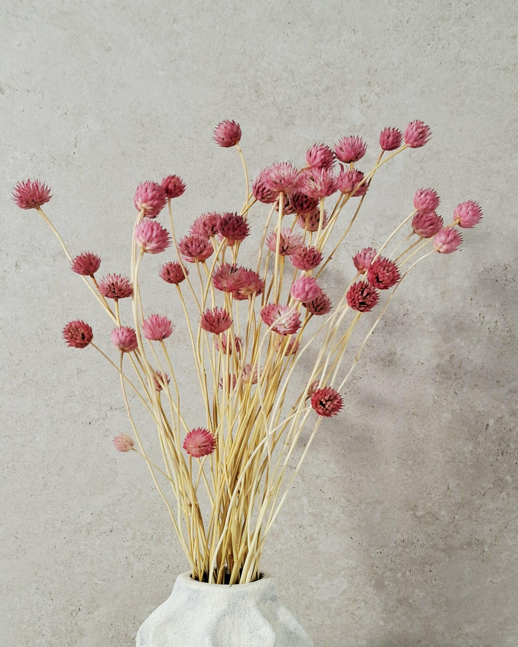 Pink Dried Flower Stems - Gomphrena Bouquet - Preserved Flowers - Florist Supplies - Dried Floral Decor - Wedding Bouquet Filler