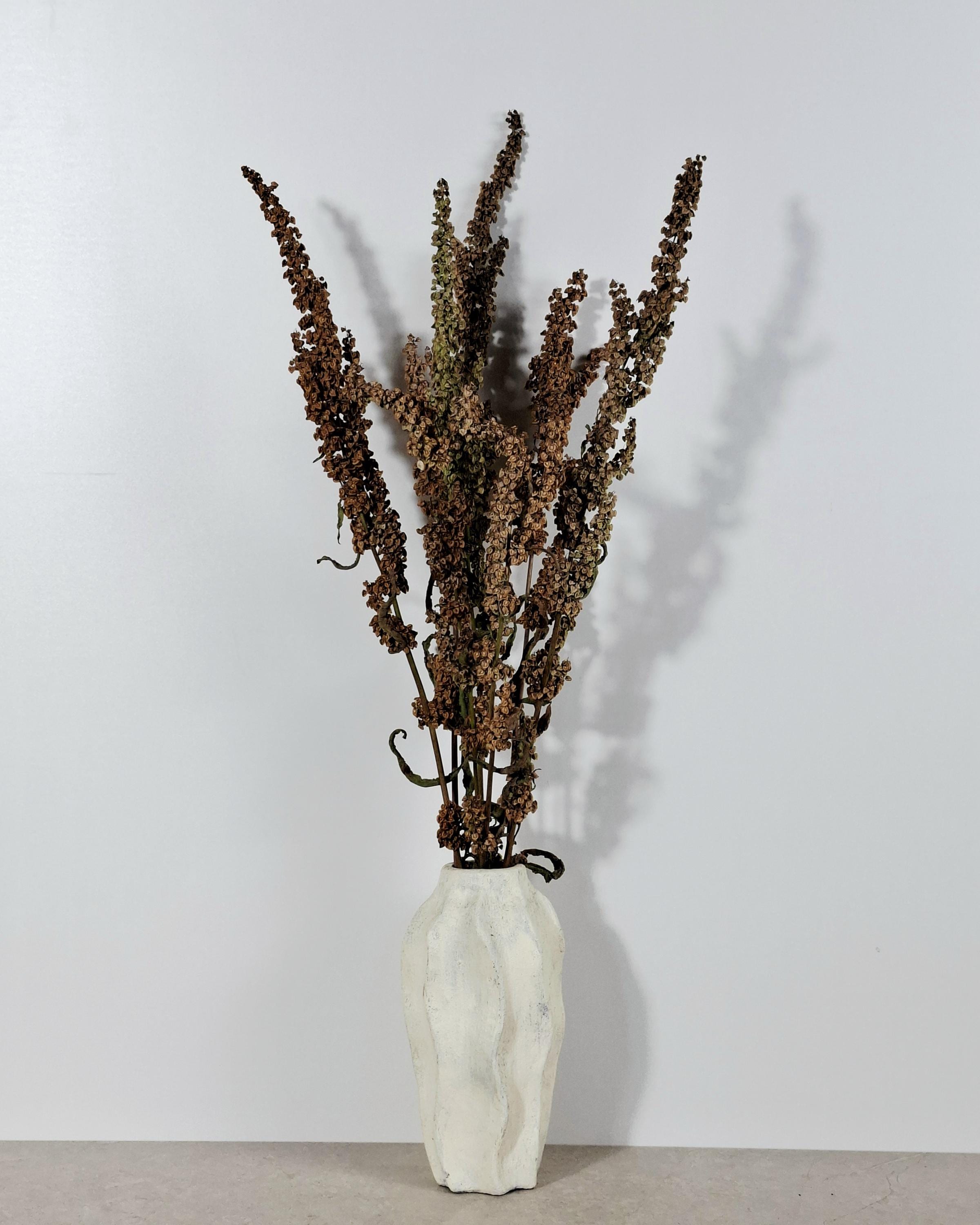 Dried Flower Stems Green Brown | Wild Dock Bouquet | Neutral Dried Flowers | Sculptural Botanical Decor | Florist Dried Flowers