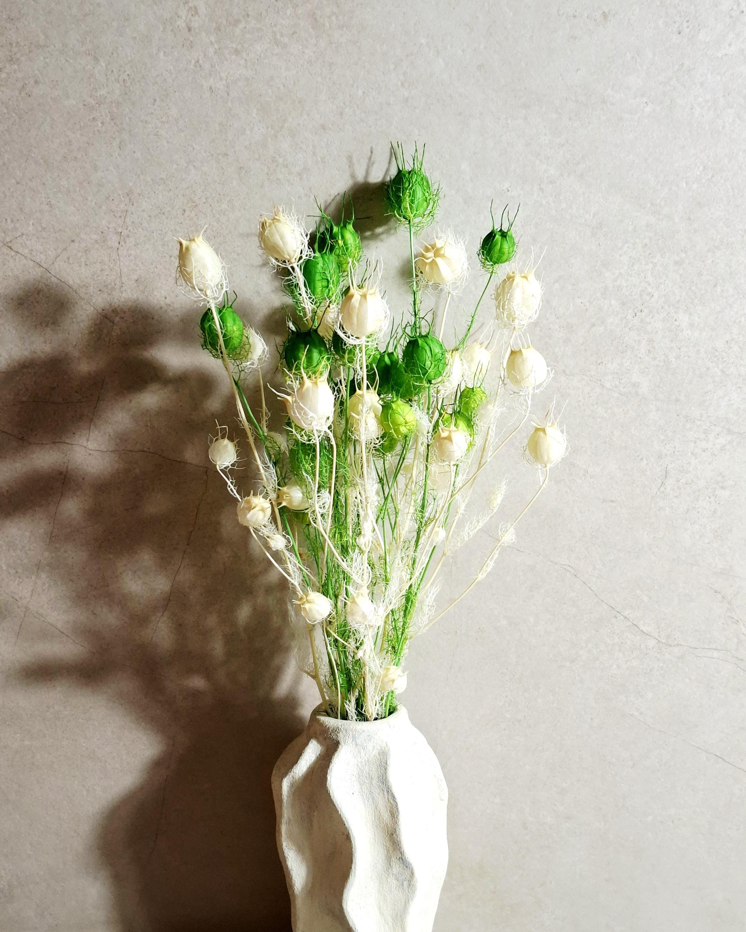 Dried Nigella Pods White Green Mix / Natural Nigella Stems / Botanical Floral Supply / DIY Craft Flowers / Rustic Decor