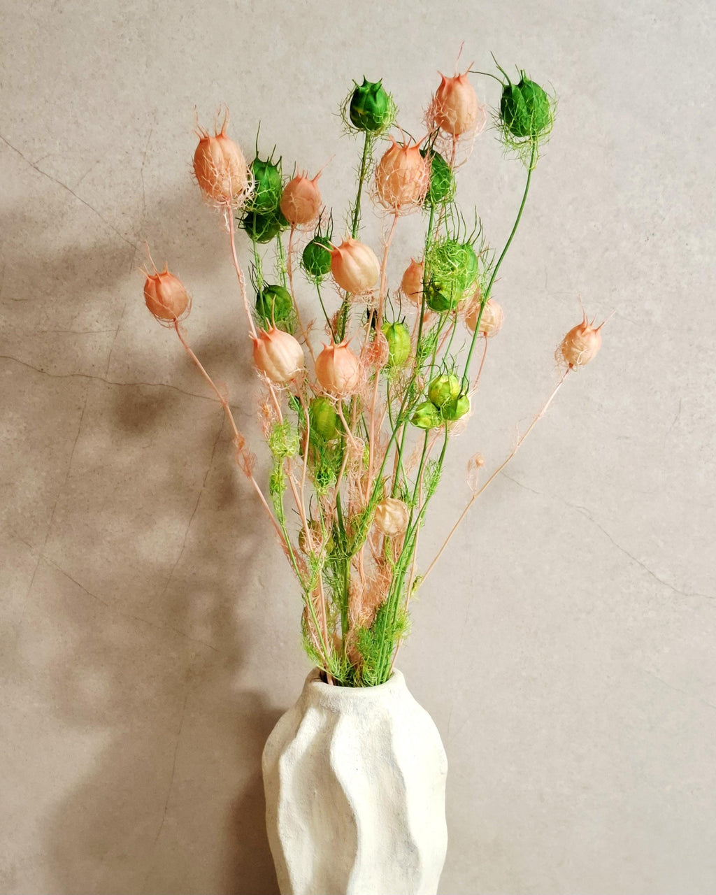 Dried Nigella Pods White Pink Mix, Soft Pink Nigella, Two Tone Nigella Pods, Preserved Flowers, Floral Supply, Wedding Decor