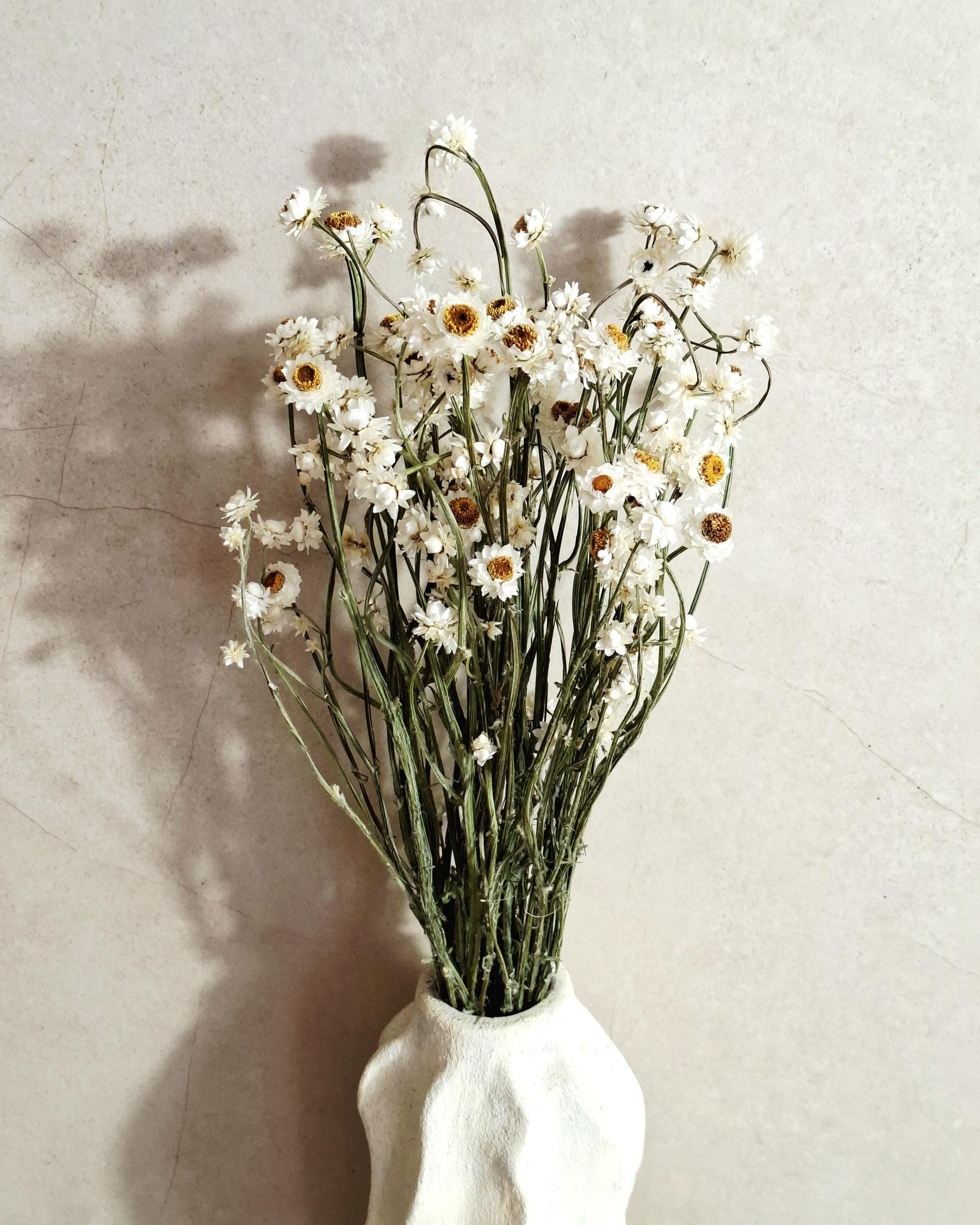 White Stabilized Ammobium Bouquet Dried Flower Bouquet, Minimalist Home Decor, Natural Flowers, Wedding Bouquet