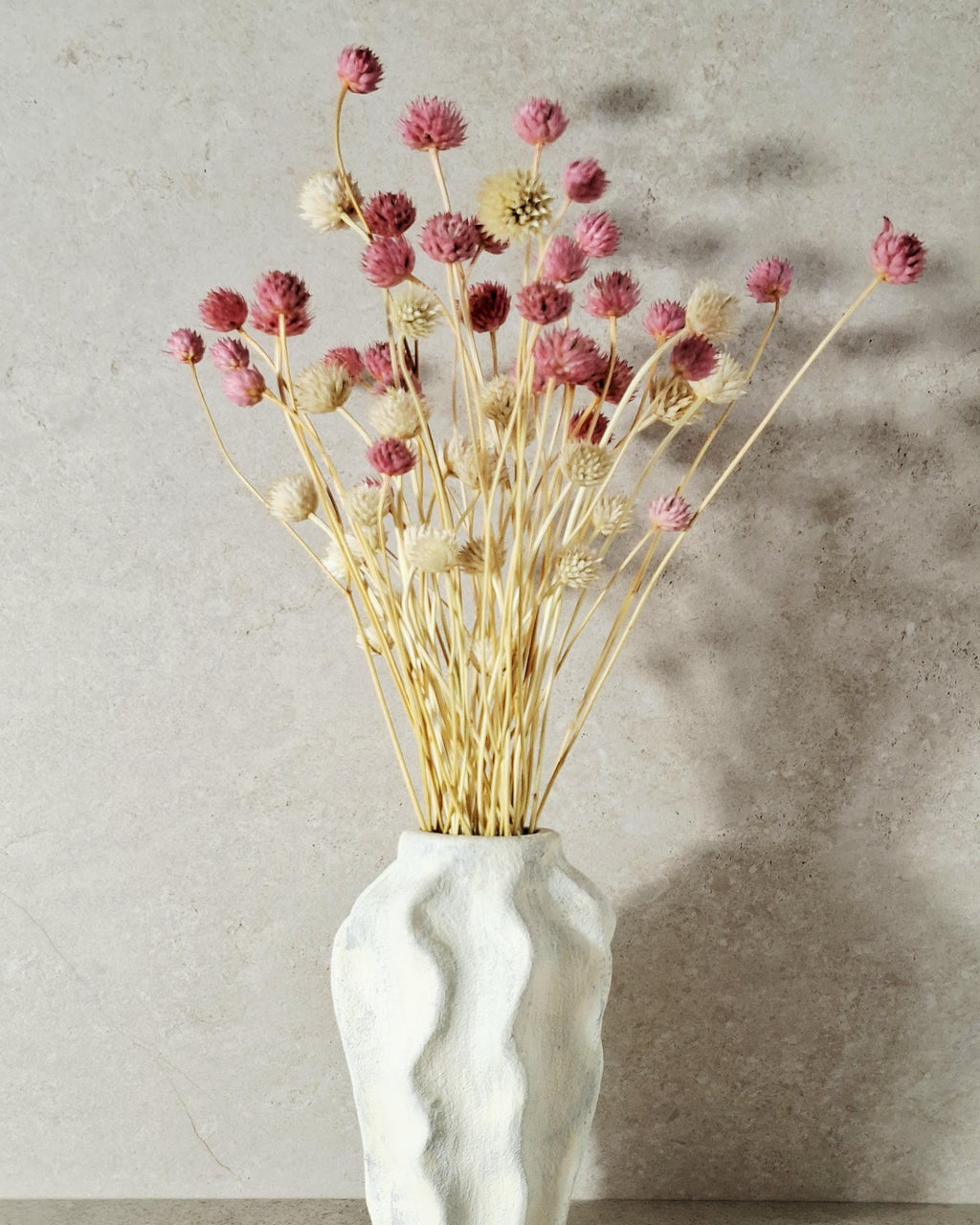 Pink Cream Dried Cephalaria Stems, Soft Blush Preserved Flowers, Romantic Floral Decor, Wedding Bouquet Fillers, Natural Dried Flowers