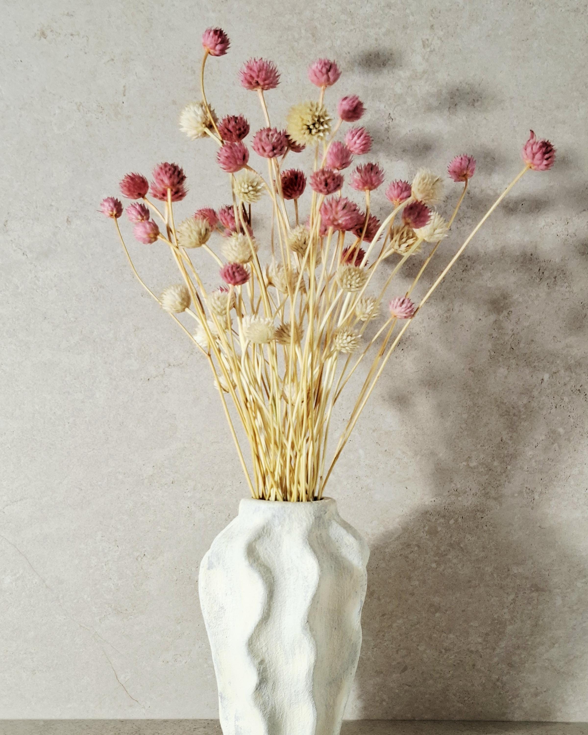 Pink Cream Dried Cephalaria Stems, Soft Blush Preserved Flowers, Romantic Floral Decor, Wedding Bouquet Fillers, Natural Dried Flowers
