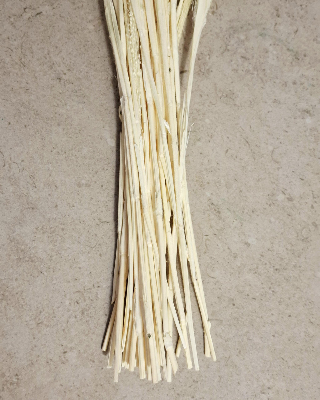 Bleached Panicum Stems, Dried Flowers for Crafts, Mini Bouquet Making, White Panicum, Dried Floral Supply, DIY Projects