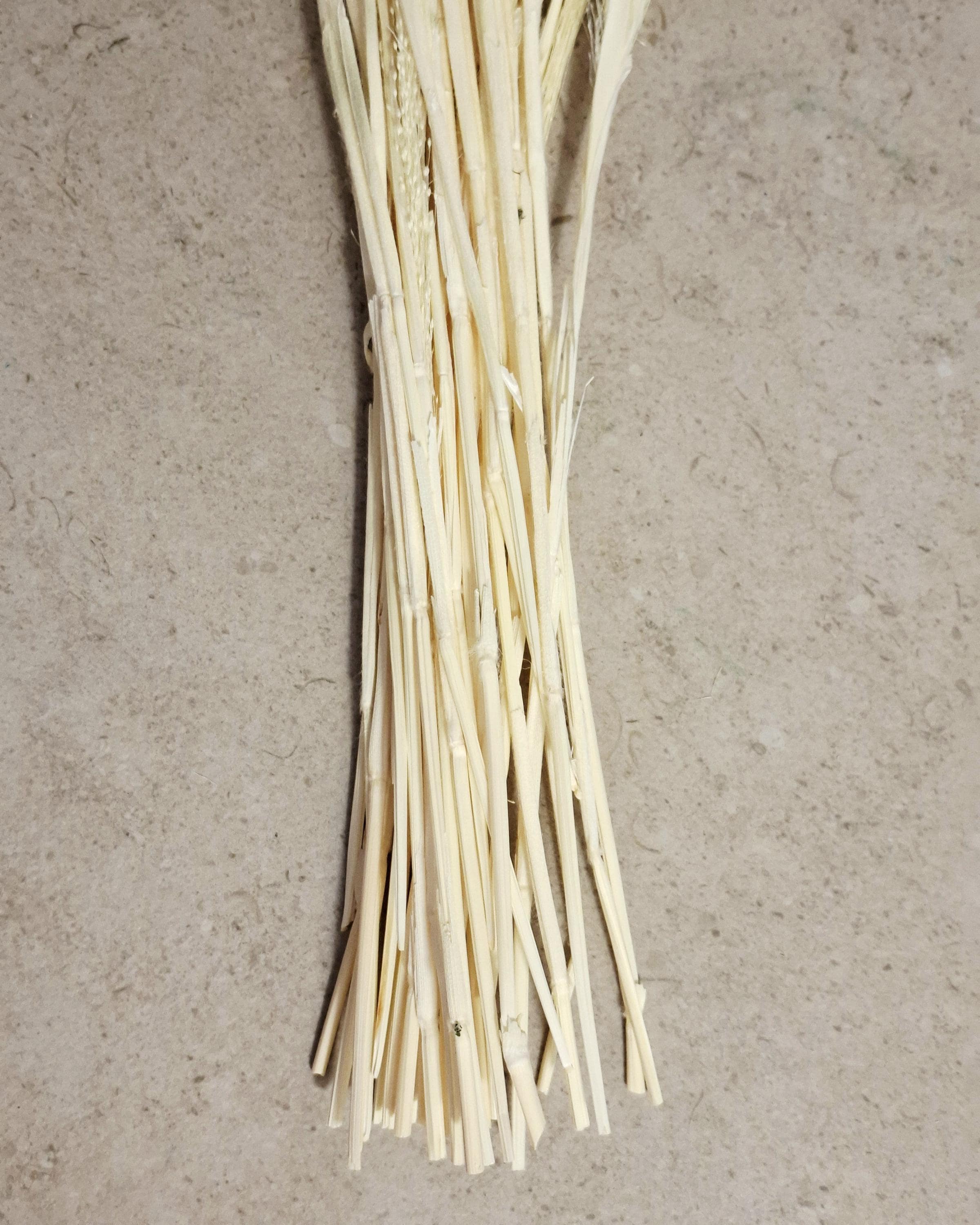 Bleached Panicum Stems, Dried Flowers for Crafts, Mini Bouquet Making, White Panicum, Dried Floral Supply, DIY Projects