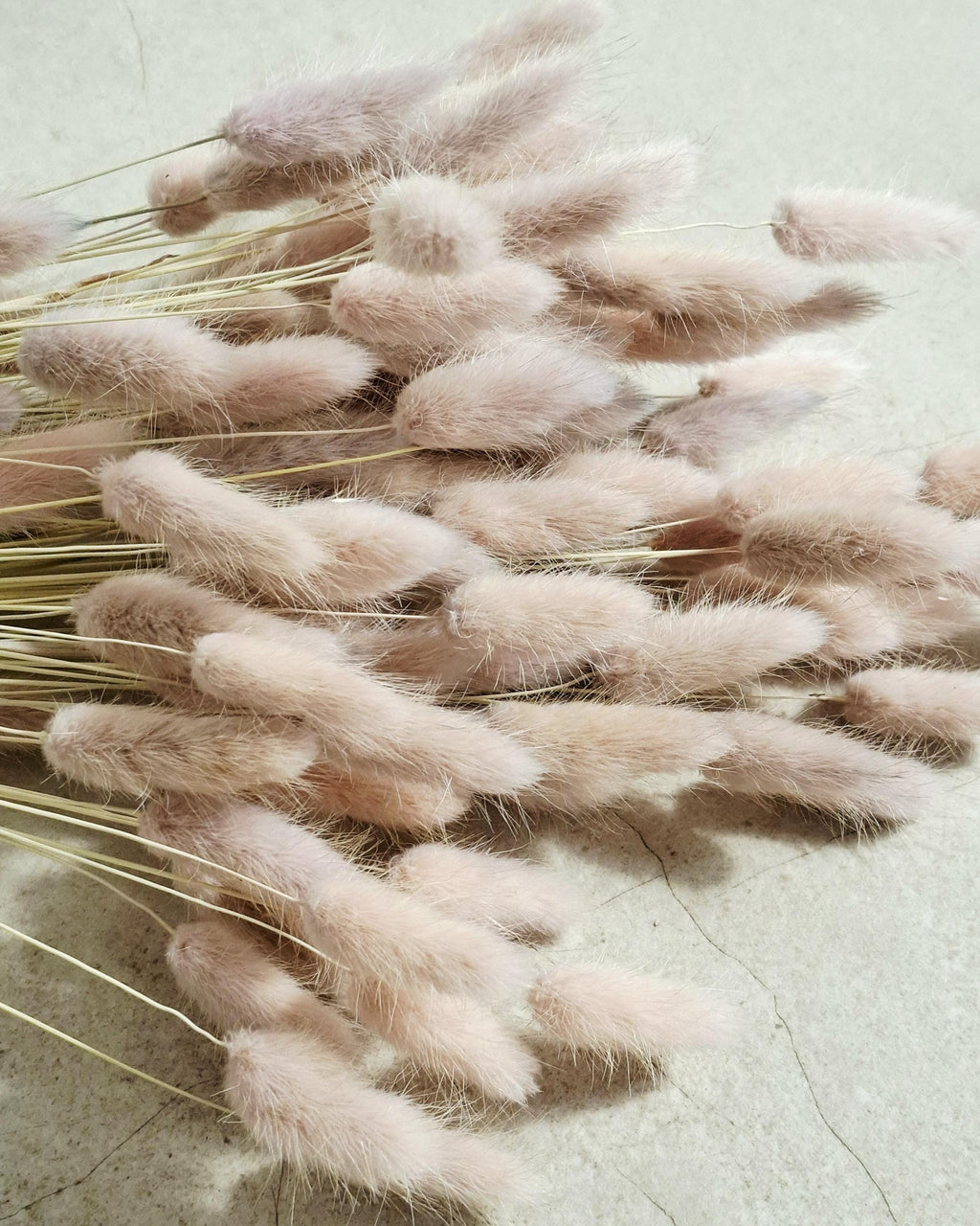 Dried Lagurus Pink Bunny Tail Grass 45–50 cm, Soft Blush Dried Flowers, Natural Home Decor, Wedding Florals, DIY Bouquet