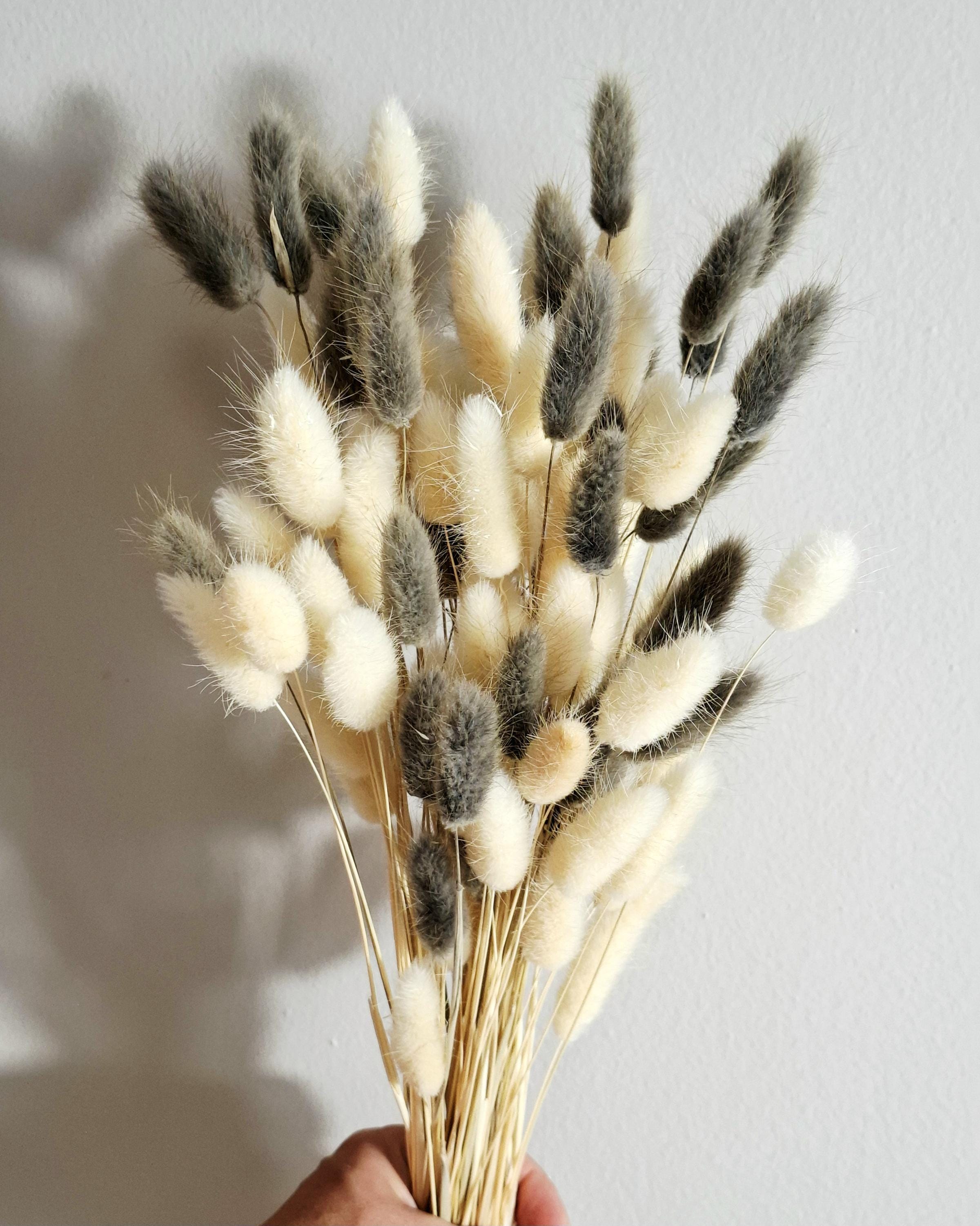 Neutral Lagurus Stems Mix, Cream and Grey Bunny Tails, Dried Flowers Bulk, Minimalist Floral Supply, Boho Decor Stems, DIY Arrangement
