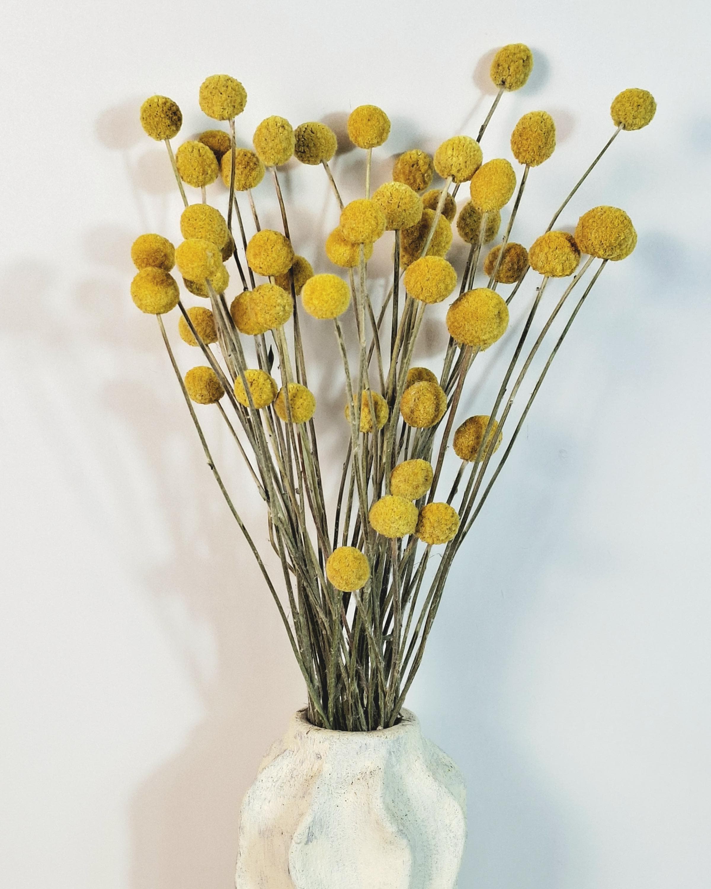 Craspedia Bouquet, Yellow Billy Balls, Dried Flower Bouquet, Boho Vase Decor, Wedding Florals, Modern Home Decor