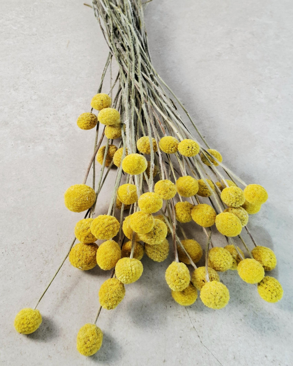 Craspedia Bouquet, Yellow Billy Balls, Dried Flower Bouquet, Boho Vase Decor, Wedding Florals, Modern Home Decor