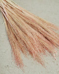 Pink Red Panicum Dried Grass Bouquet | Natural Airy Pampas Alternative | Wedding Home Decor Floral Stems.