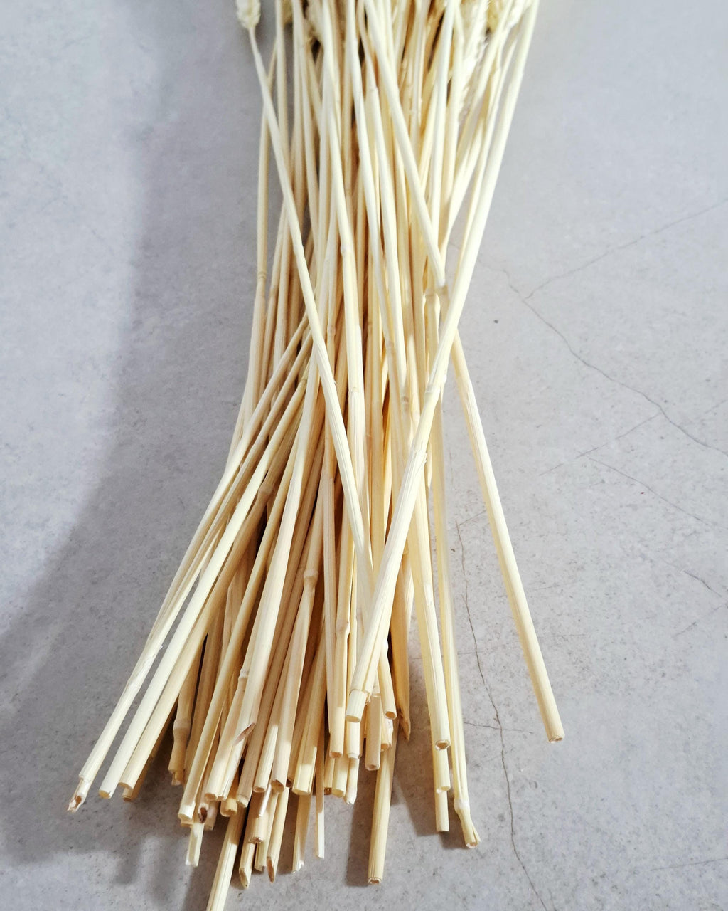 Bleached Wheat Stems Ivory | Dried Wheat Stems | Neutral Floral Supply for Decor Arrangements