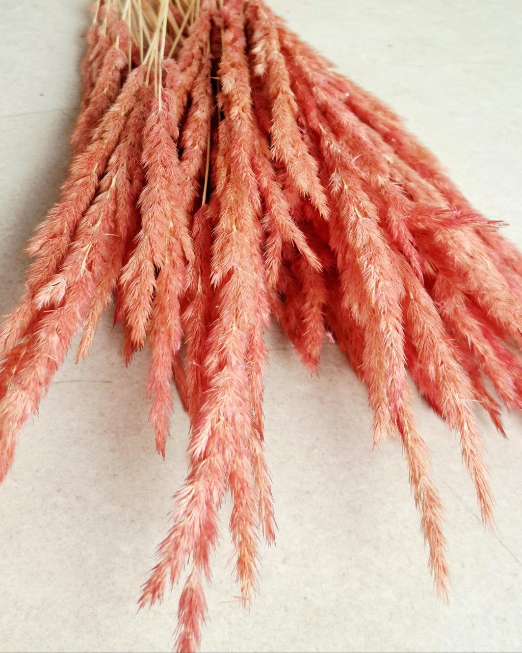 Dried Calamagrostis Pink Stems 55-60 cm, Soft Dusty Pink Reed Grass, Floral Supply, DIY Craft Material, Boho Vase Decor