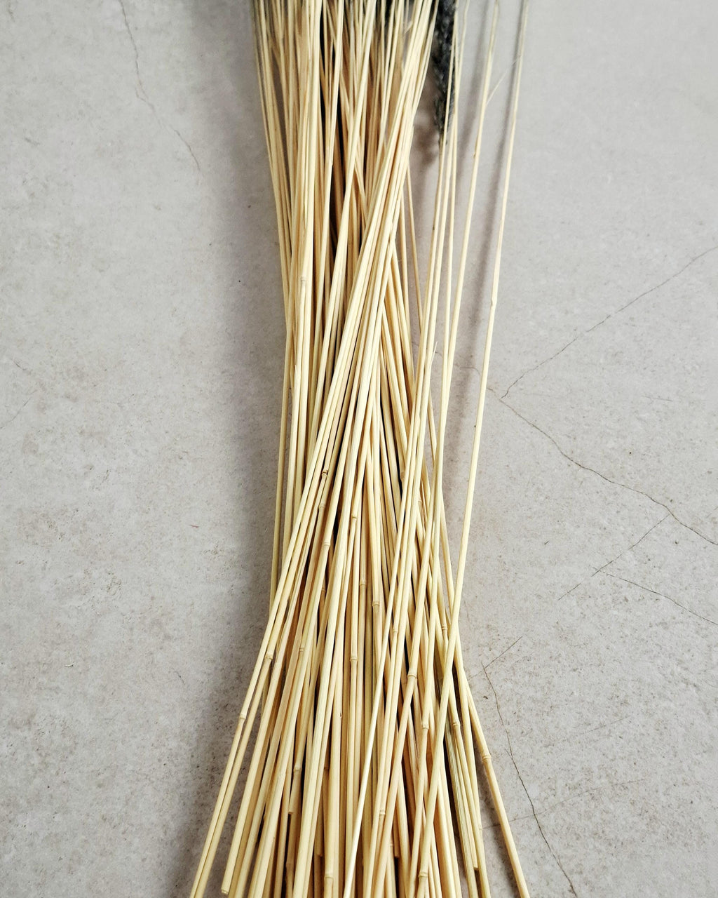 Dried Black Calamagrostis Stems 55-60 cm Dark Reed Grass Floral Supply DIY Material Moody Minimal Decor