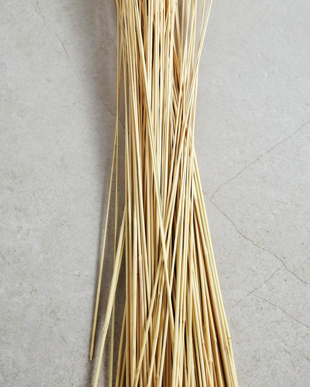Dried Reed Grass 50-55 cm – Natural Yellow Calamagrostis Stems for Vase, Boho Home Decor, Rustic Wedding, Dried Flower