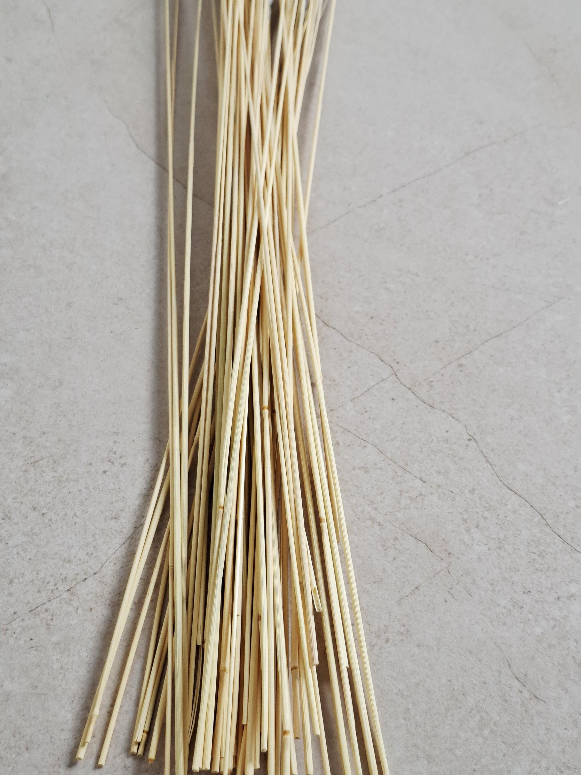 Natural Dried Calamagrostis Grass 55–60 cm | Home Decor | DIY Bouquet Supplies | Dried Flowers | Rustic & Boho Interior Decoration