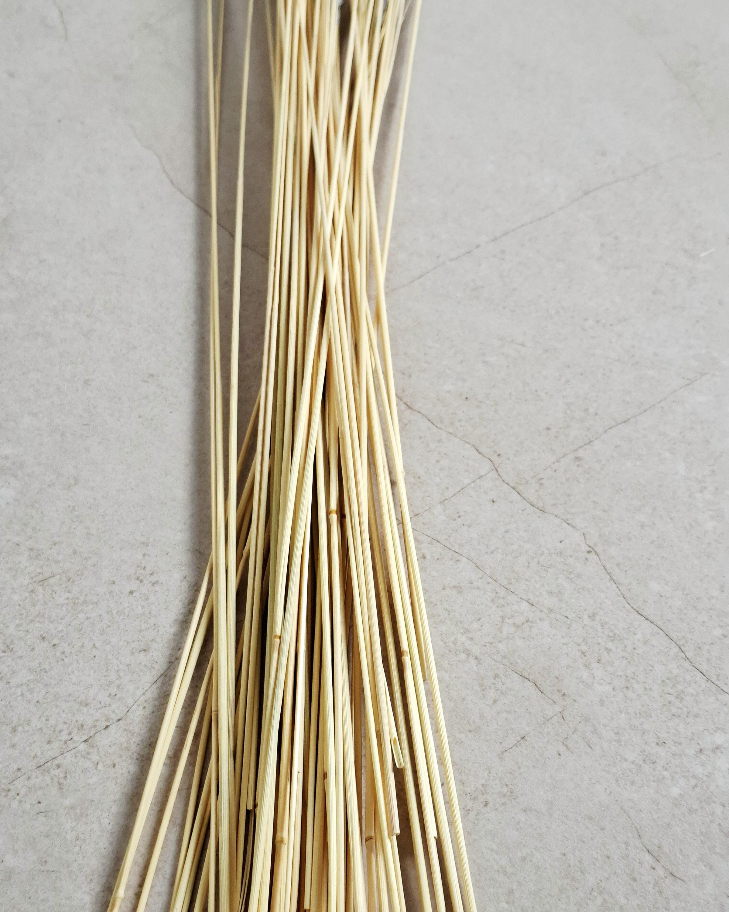 Dried calamagrostis grey blue 55–60 cm | Natural dried grass for home decor boho arrangements and floral designs