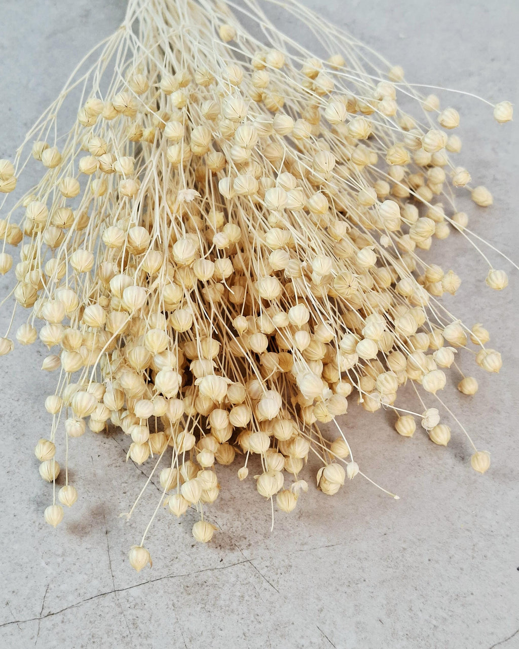 Dyed Linen | Natural Dried Flower | Rustic Home Decor | Wedding Centerpiece | Dried Floral Arrangement | DIY Craft Supplies