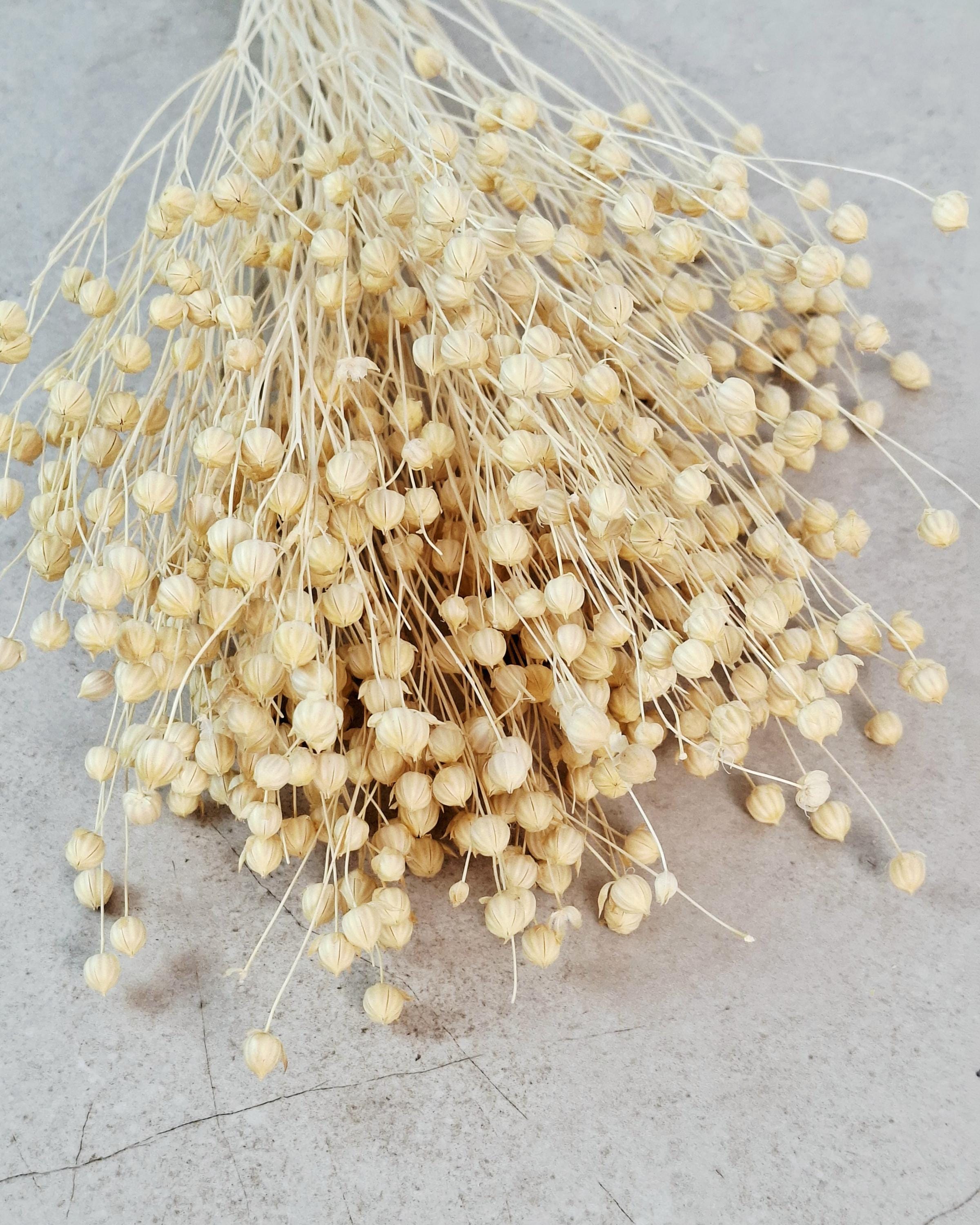 Dyed Linen | Natural Dried Flower | Rustic Home Decor | Wedding Centerpiece | Dried Floral Arrangement | DIY Craft Supplies