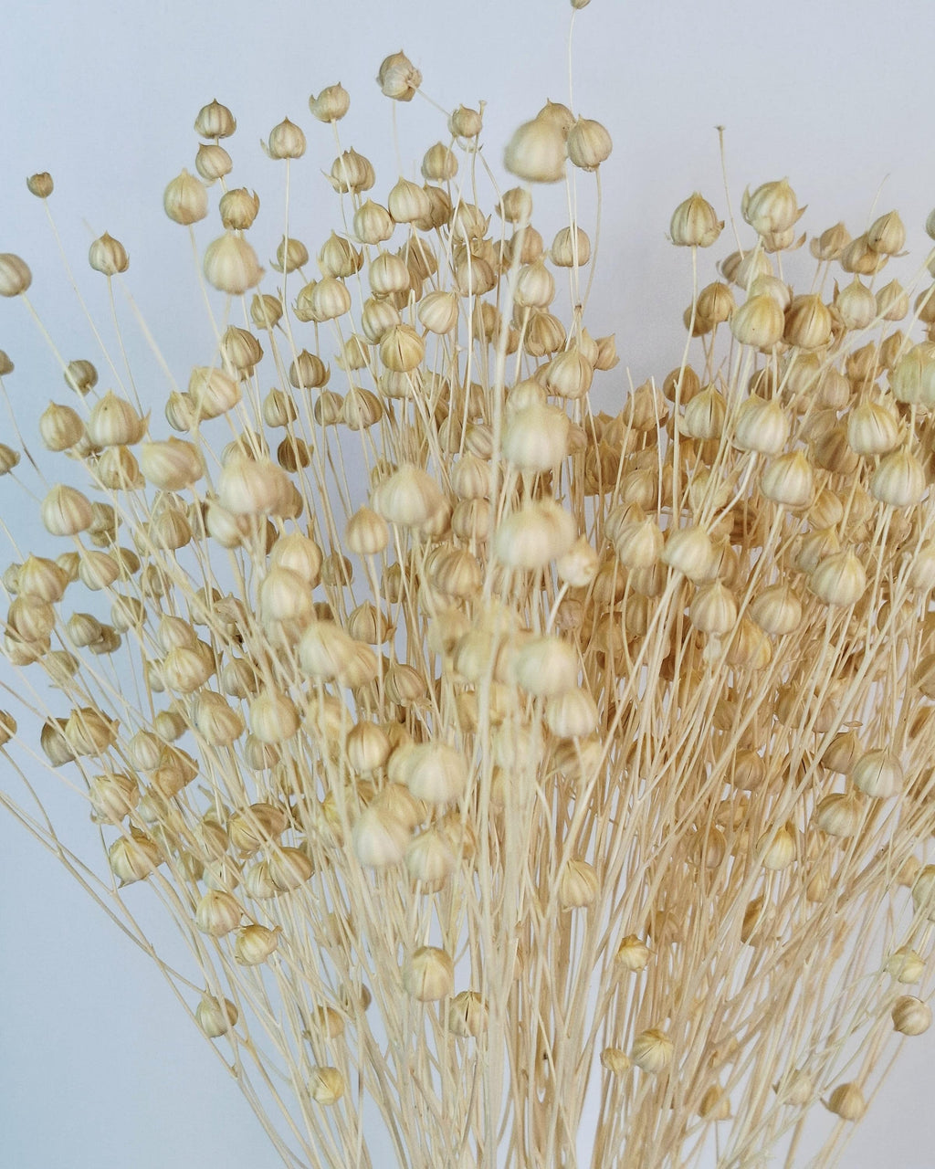 Dyed Linen | Natural Dried Flower | Rustic Home Decor | Wedding Centerpiece | Dried Floral Arrangement | DIY Craft Supplies