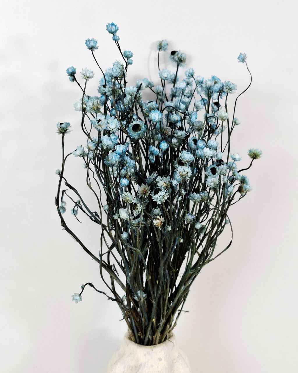 Blue Ammobium Stems, Stabilized Dried Flowers, Floral Supply, DIY Craft Flowers, Bouquet Material, Wedding Decor, Candle Decor