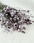 Dusty Lavender Ammobium Stems, Stabilized Dried Flowers, Floral Supply, DIY Craft Flowers, Wedding Florist Material, Candle Decor