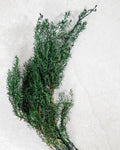 Stabilized Juniper Branch, Greenery Filler, Dried Green Foliage, Floral Supply, Wedding Greenery, Bouquet Filler, DIY Decor