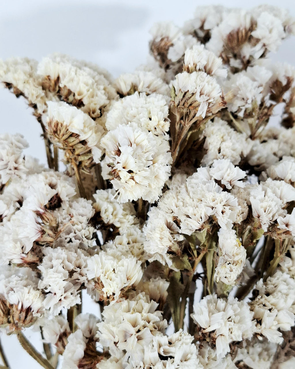 White Statice Bouquet, Dried Flowers, Limonium Bunch, Natural Home Decor, Wedding Decor, Craft Flowers, 100g