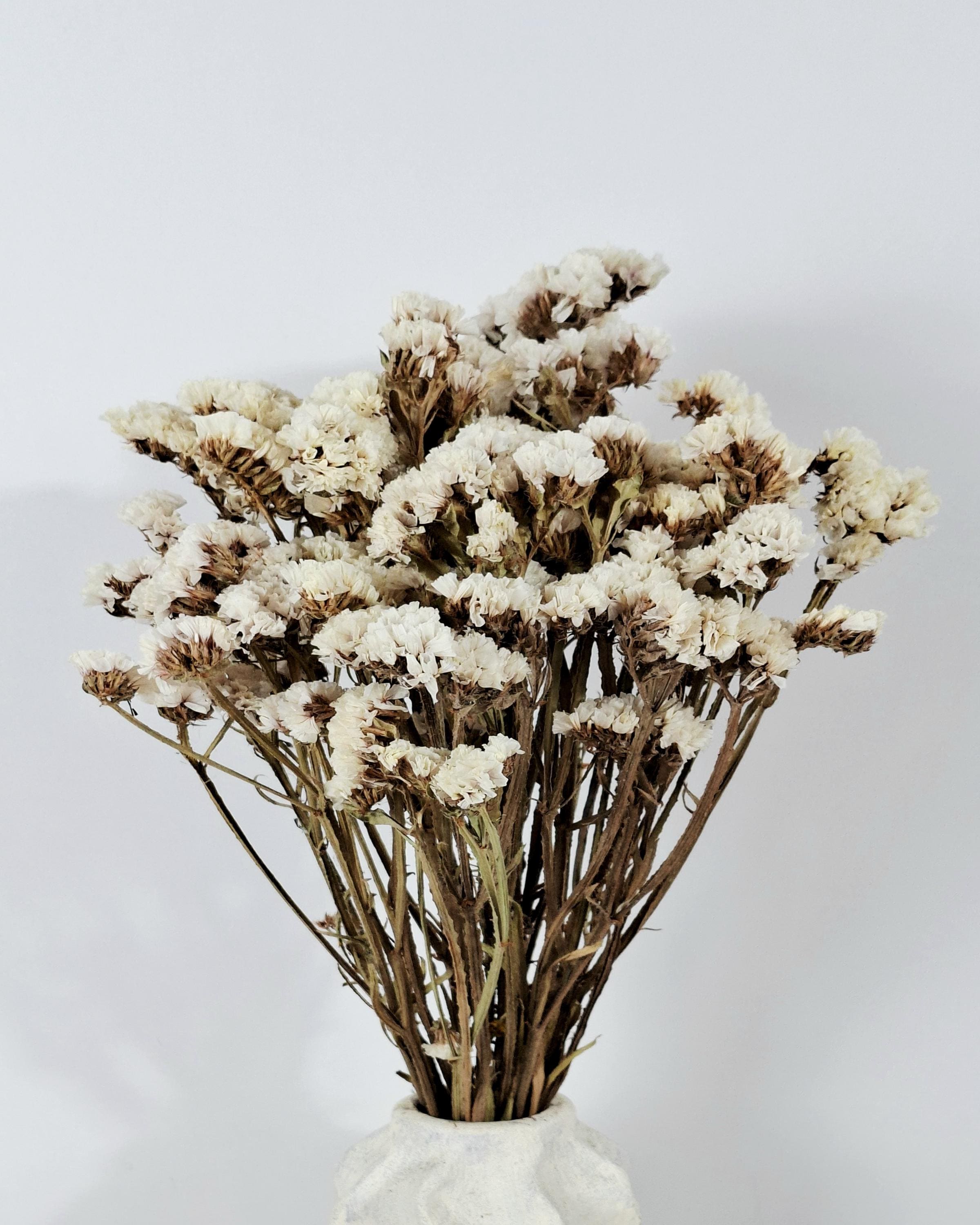 White Statice Bouquet, Dried Flowers, Limonium Bunch, Natural Home Decor, Wedding Decor, Craft Flowers, 100g
