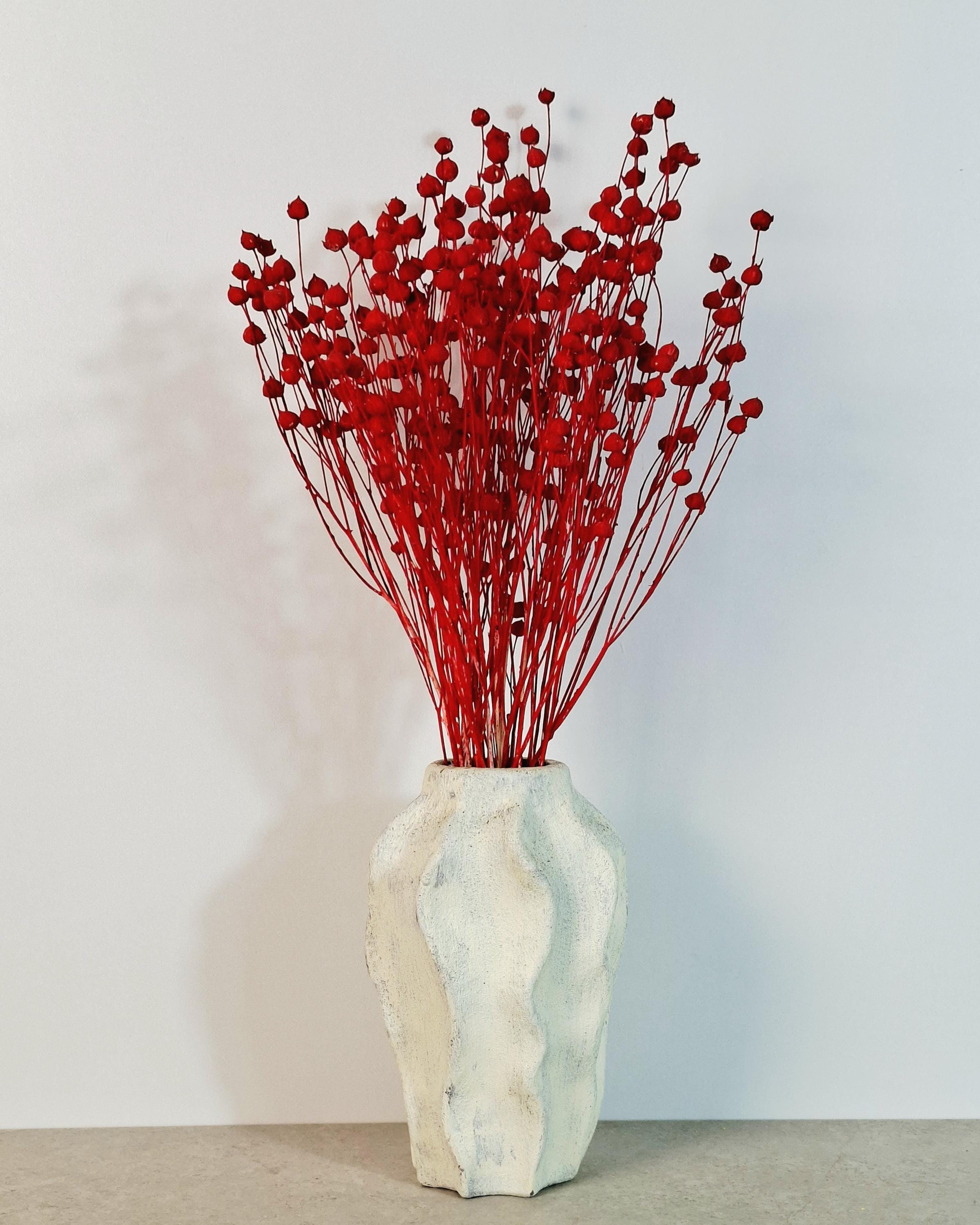 Bright Red Dried Flax Stems | Preserved Flax Stems | Florist Supply | Dyed Botanical Stems