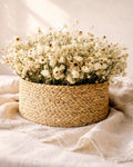 Dried Flower Basket Centerpiece, Ammobium Arrangement, Table Decor, Boho Farmhouse Home Decor, Kitchen Table Centerpiece