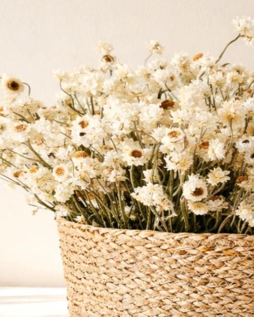 Dried Flower Basket Centerpiece, Ammobium Arrangement, Table Decor, Boho Farmhouse Home Decor, Kitchen Table Centerpiece
