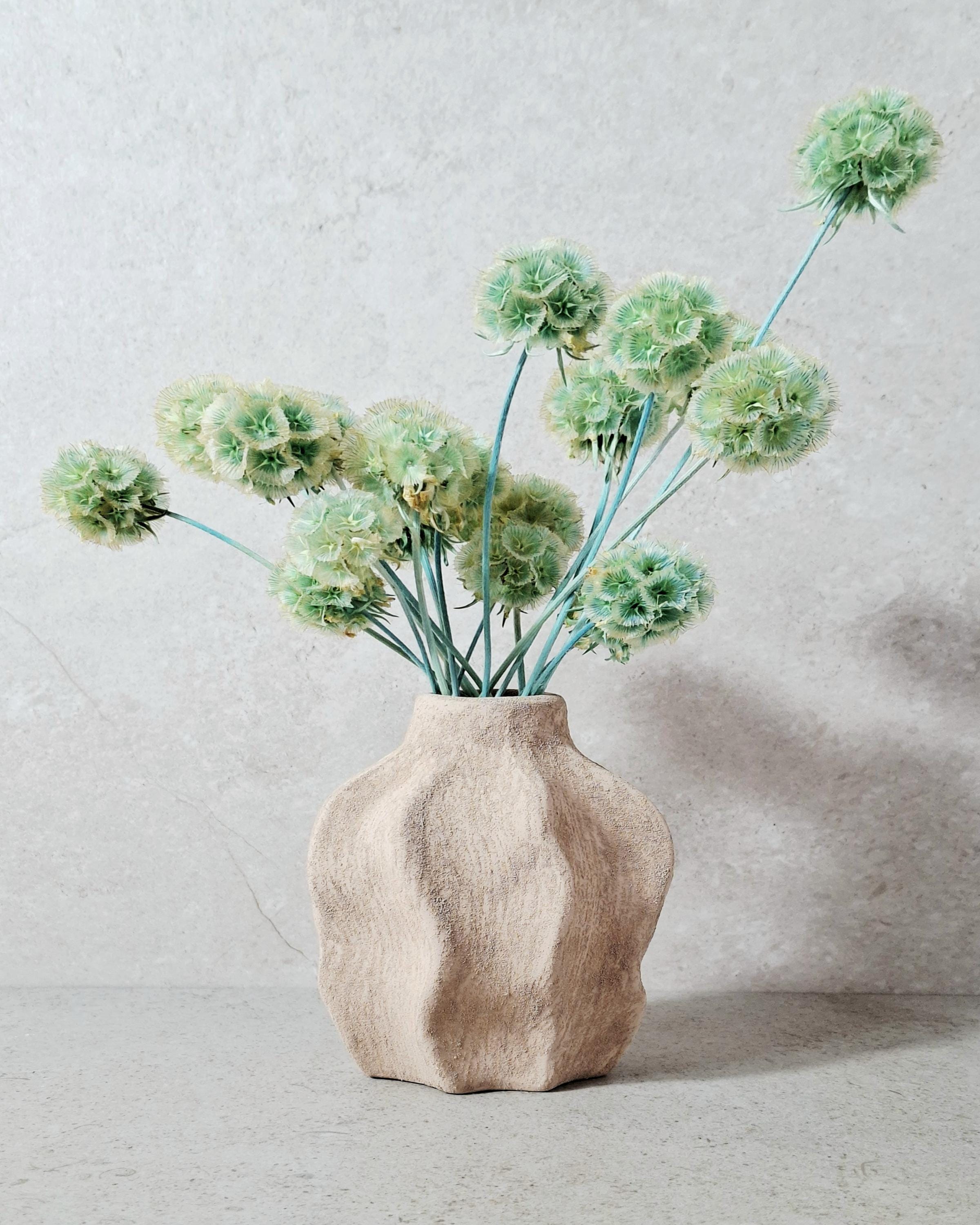 Mint Green Dried Scabiosa Pods Stems, Natural Dried Flower Stems, Florist Supply, Wedding Decor, DIY Craft, Neutral Home Decor