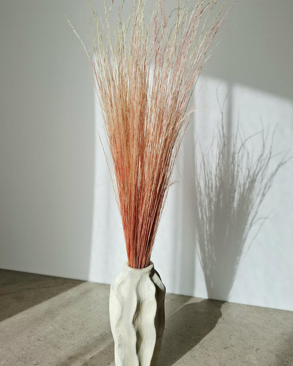 Dried Pony Grass Bundle 60 cm | Peach Coral Natural Dried Grass | Boho Floral Supply & Ready Bouquet | Vase Decor, Interior Styling