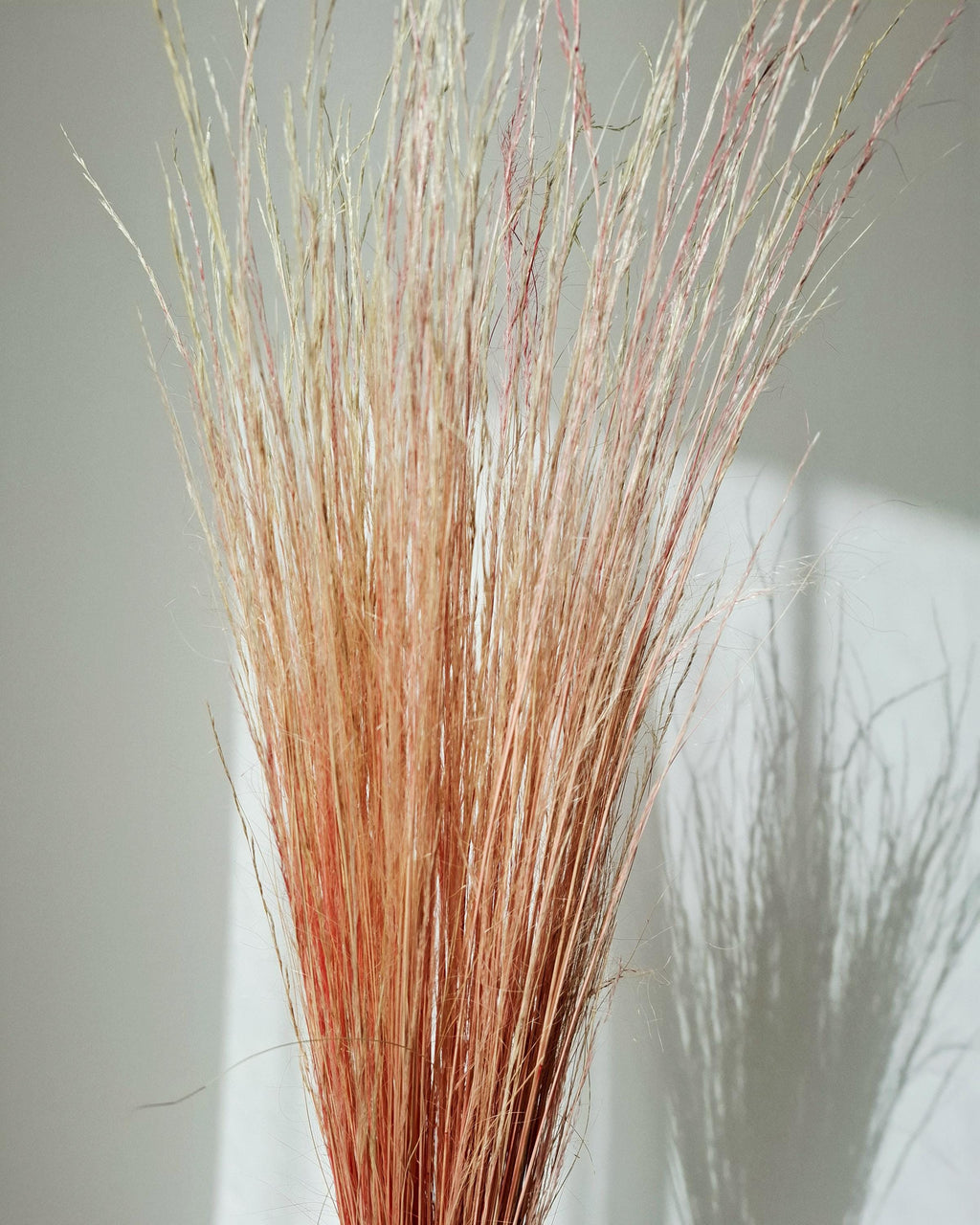 Dried Pony Grass Bundle 60 cm | Peach Coral Natural Dried Grass | Boho Floral Supply & Ready Bouquet | Vase Decor, Interior Styling