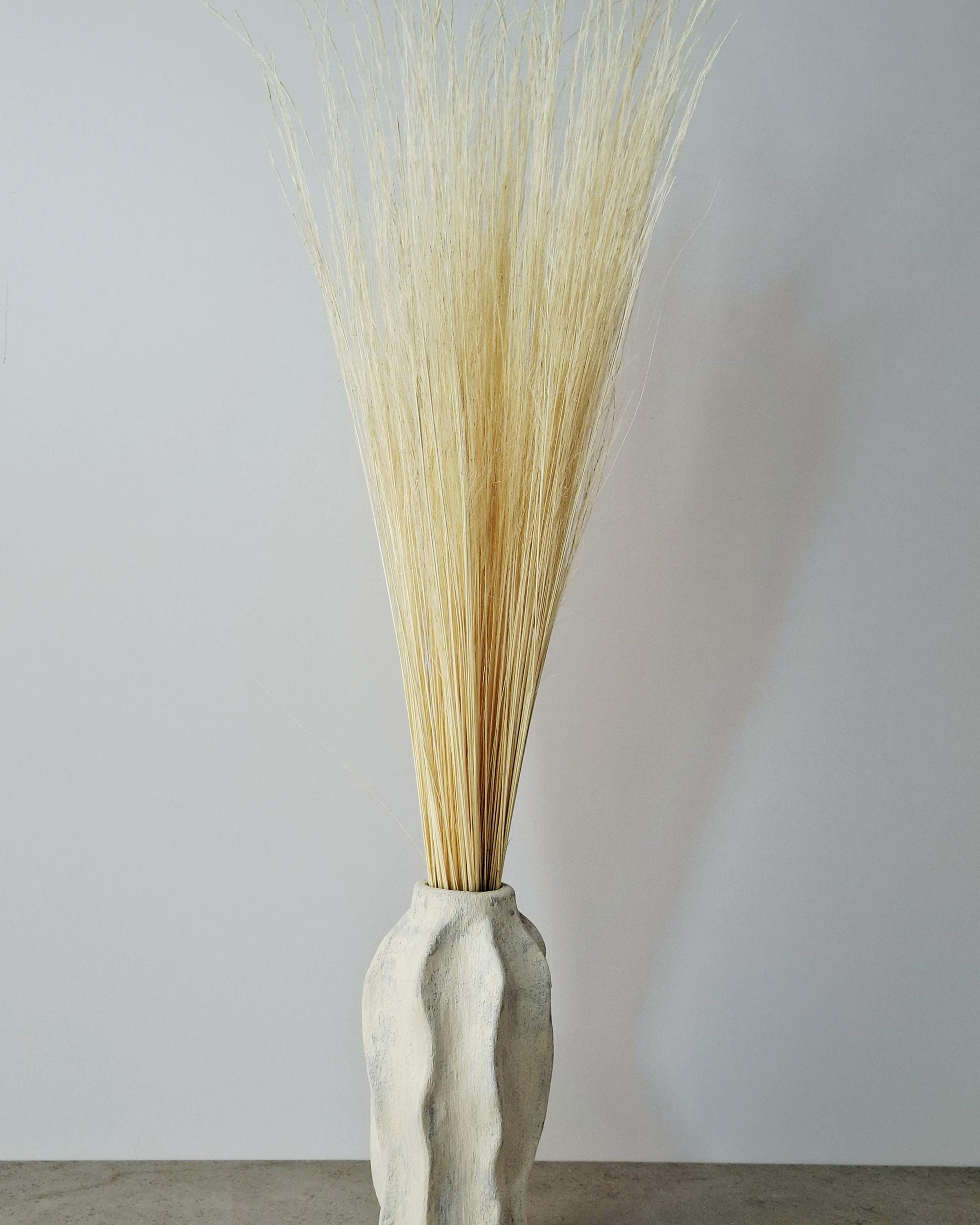 Dried Pony Grass Bundle 60 cm | Natural Beige Pampas Style | Minimalist Home Decor | Boho Vase Arrangement | Neutral Dried Grass