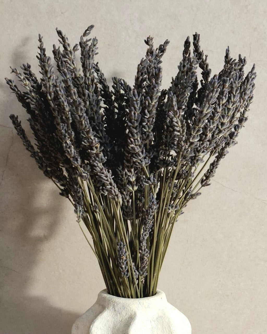 Dried Flower Bouquet | Preserved Lavender Bouquet | Minimalist Botanical Arrangement | Natural Home Decor