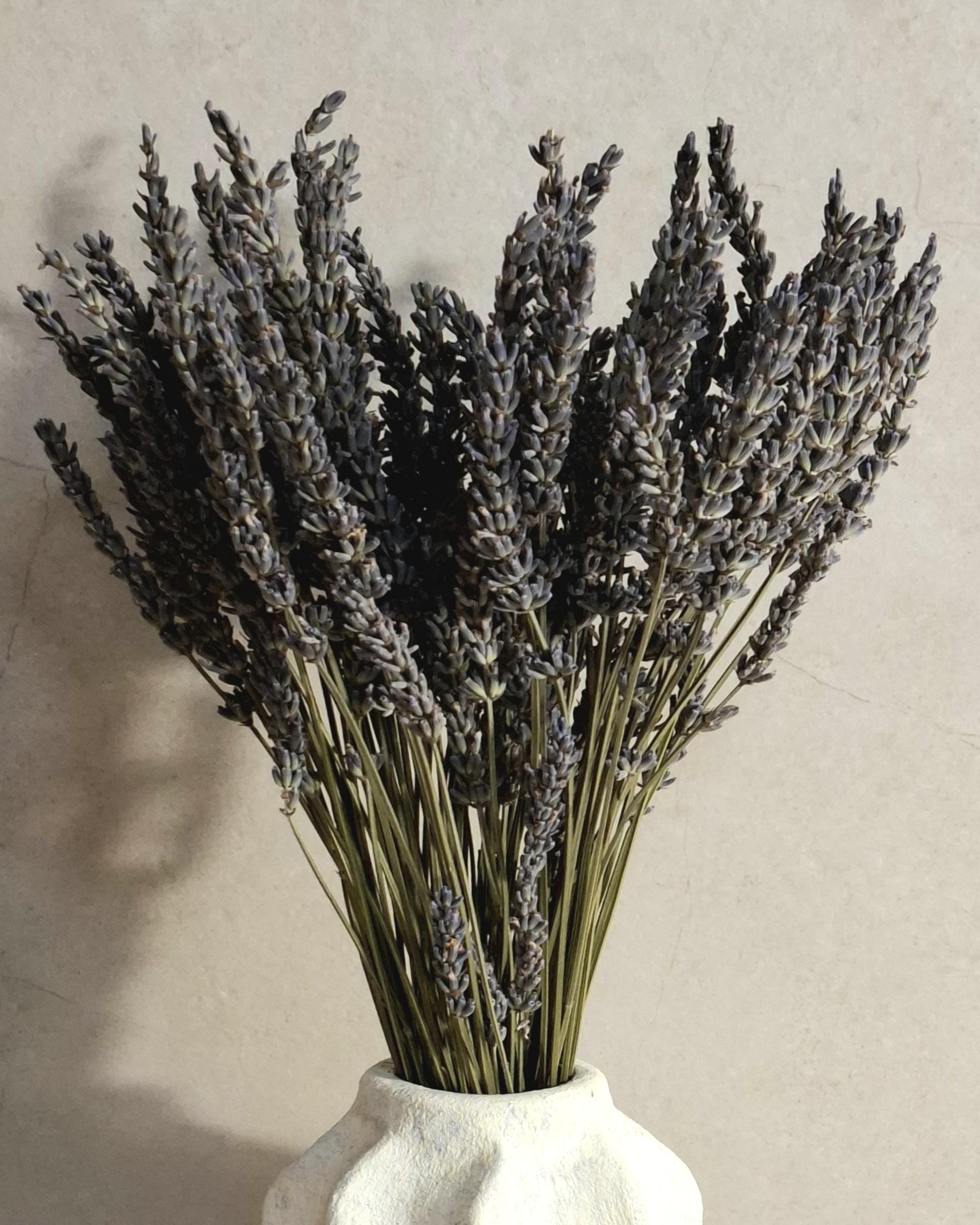 Dried Flower Bouquet | Preserved Lavender Bouquet | Minimalist Botanical Arrangement | Natural Home Decor
