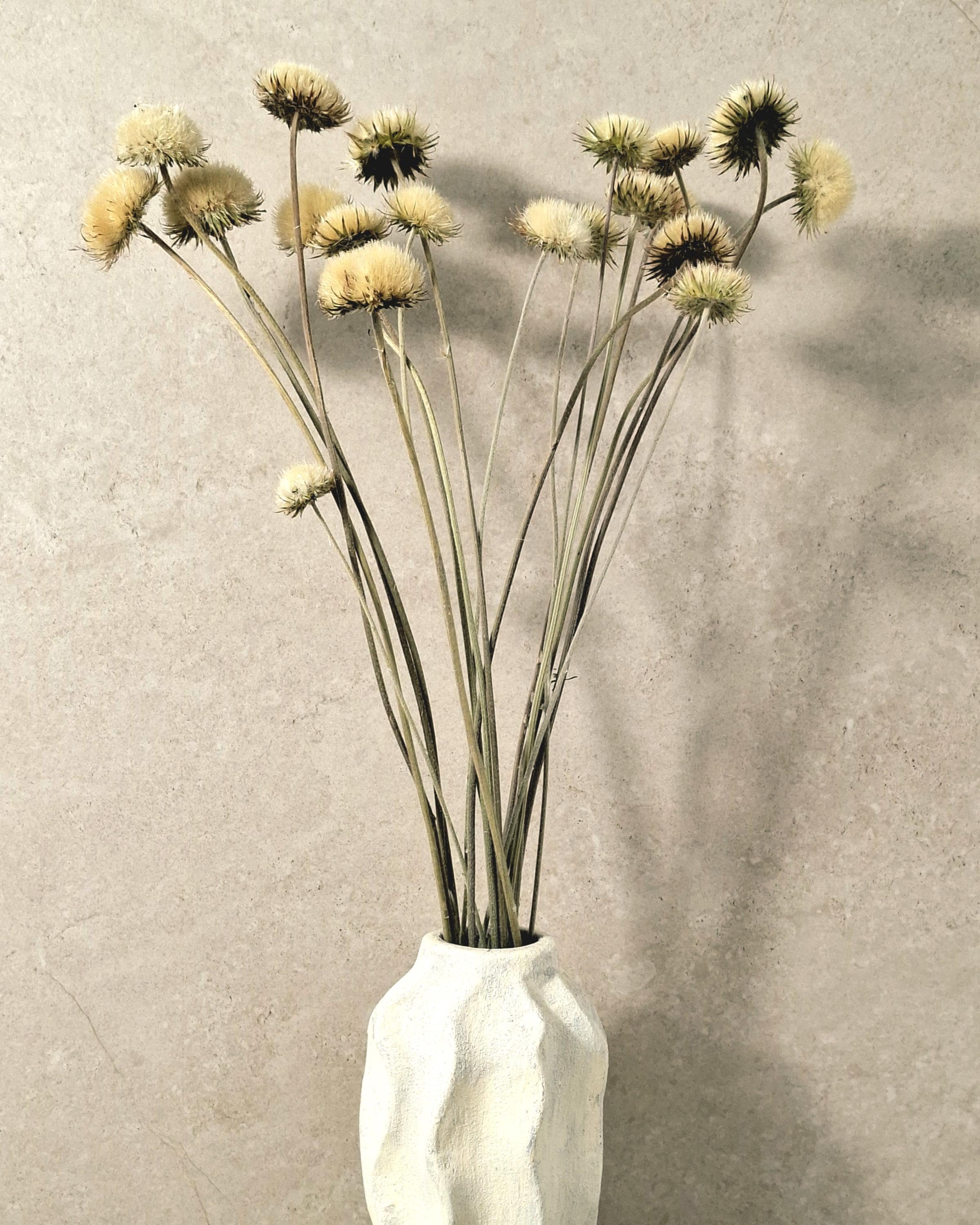 Yurirea Dried Flower Bouquet, Minimalist Botanical Arrangement, Preserved Flower Bouquet, Neutral Scandi Decor, Natural Dried Flowers