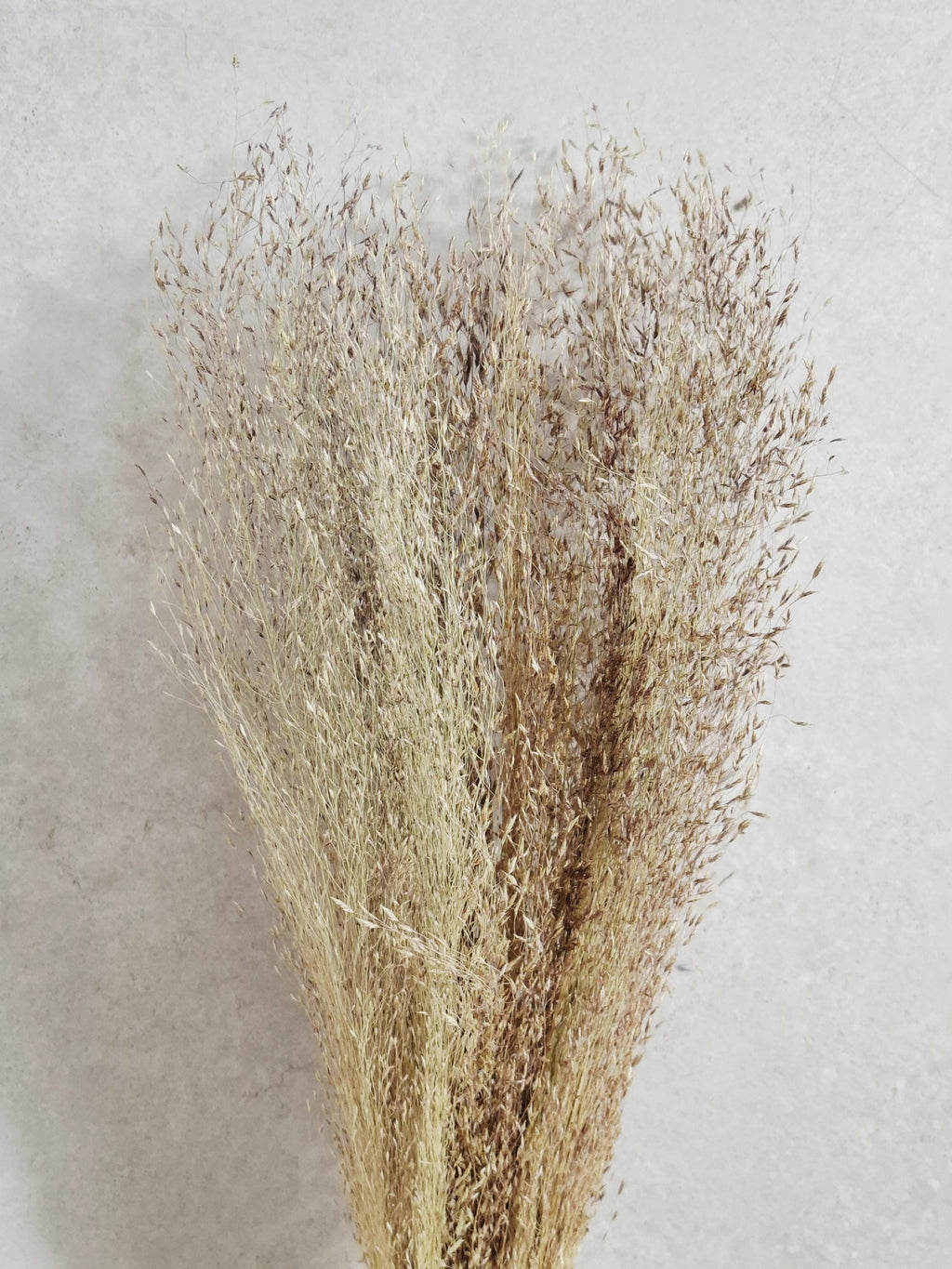 Tall Rice Grass Bundle |Dried Pampas Style Grass | Beige Brown Natural Bundle | Boho Decor | Wedding Arrangement | Rustic Home Accent