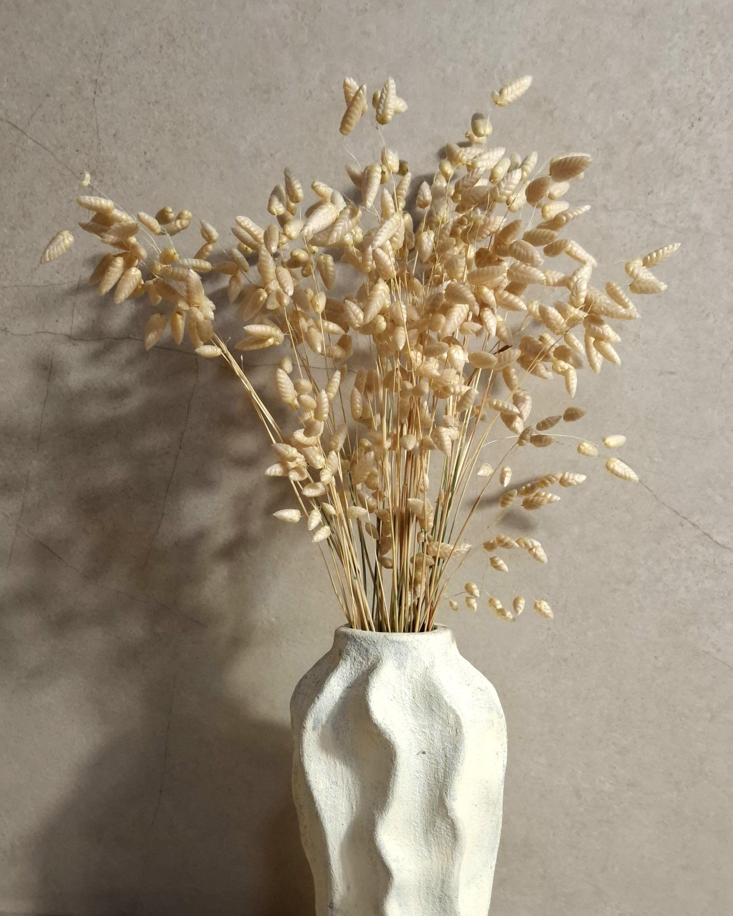 Dried Briza Bouquet | Stabilized Dried Flowers | Neutral Botanical Decor | Minimalist Scandi Bouquet | Natural Vase Arrangement